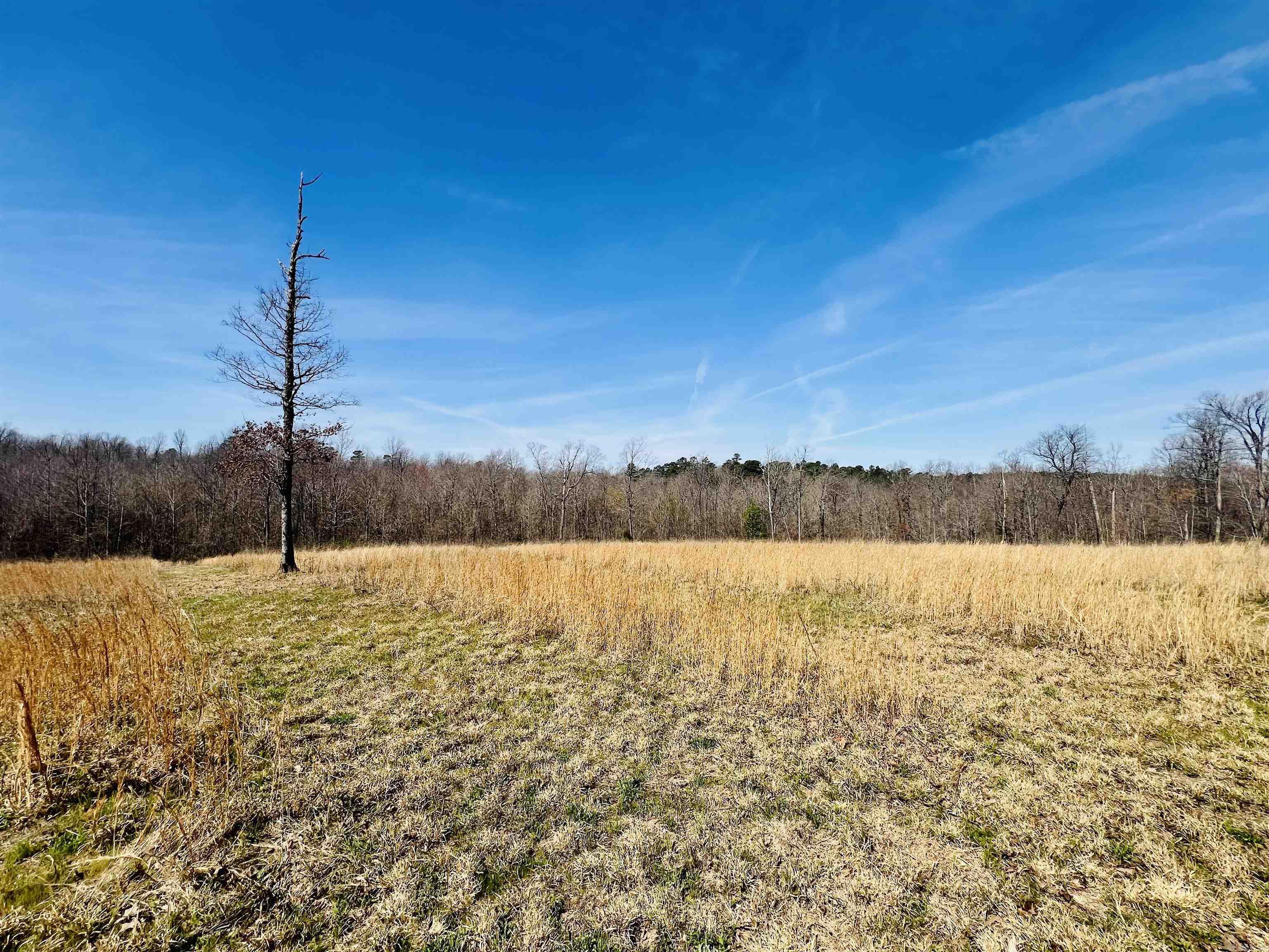  Golden Pond Lane  Witt Springs, AR