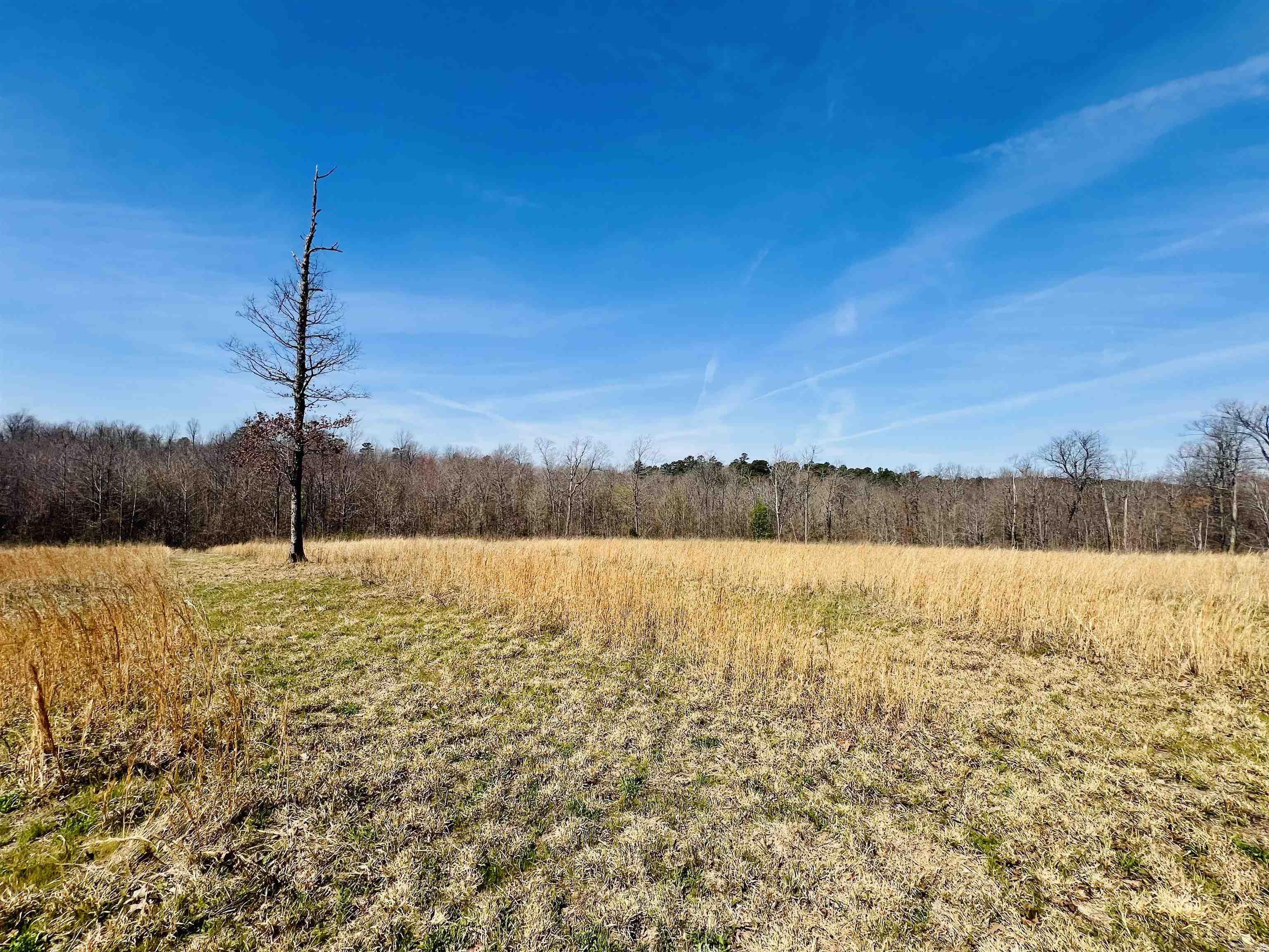  Golden Pond Lane  Witt Springs, AR