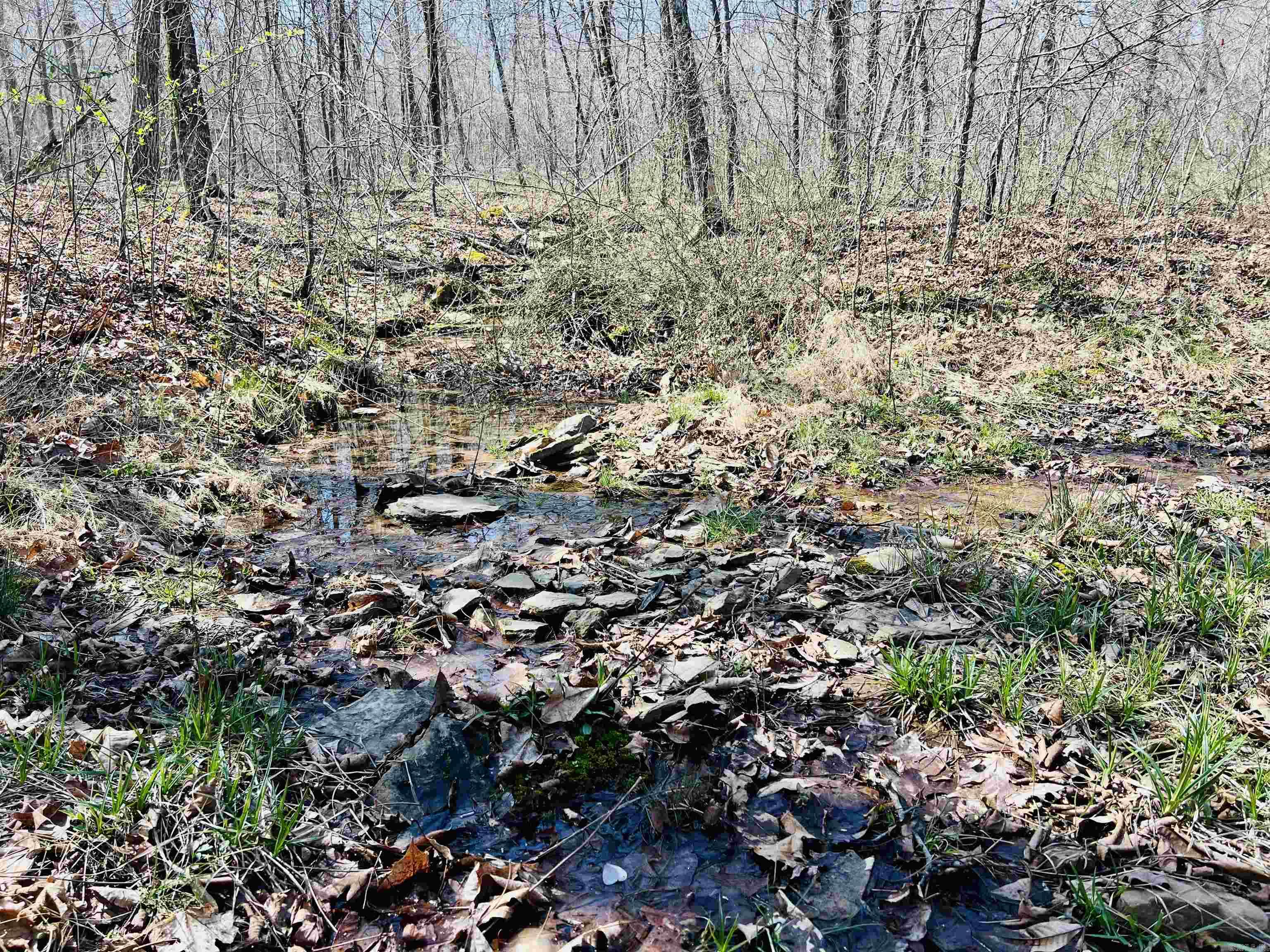  Golden Pond Lane  Witt Springs, AR