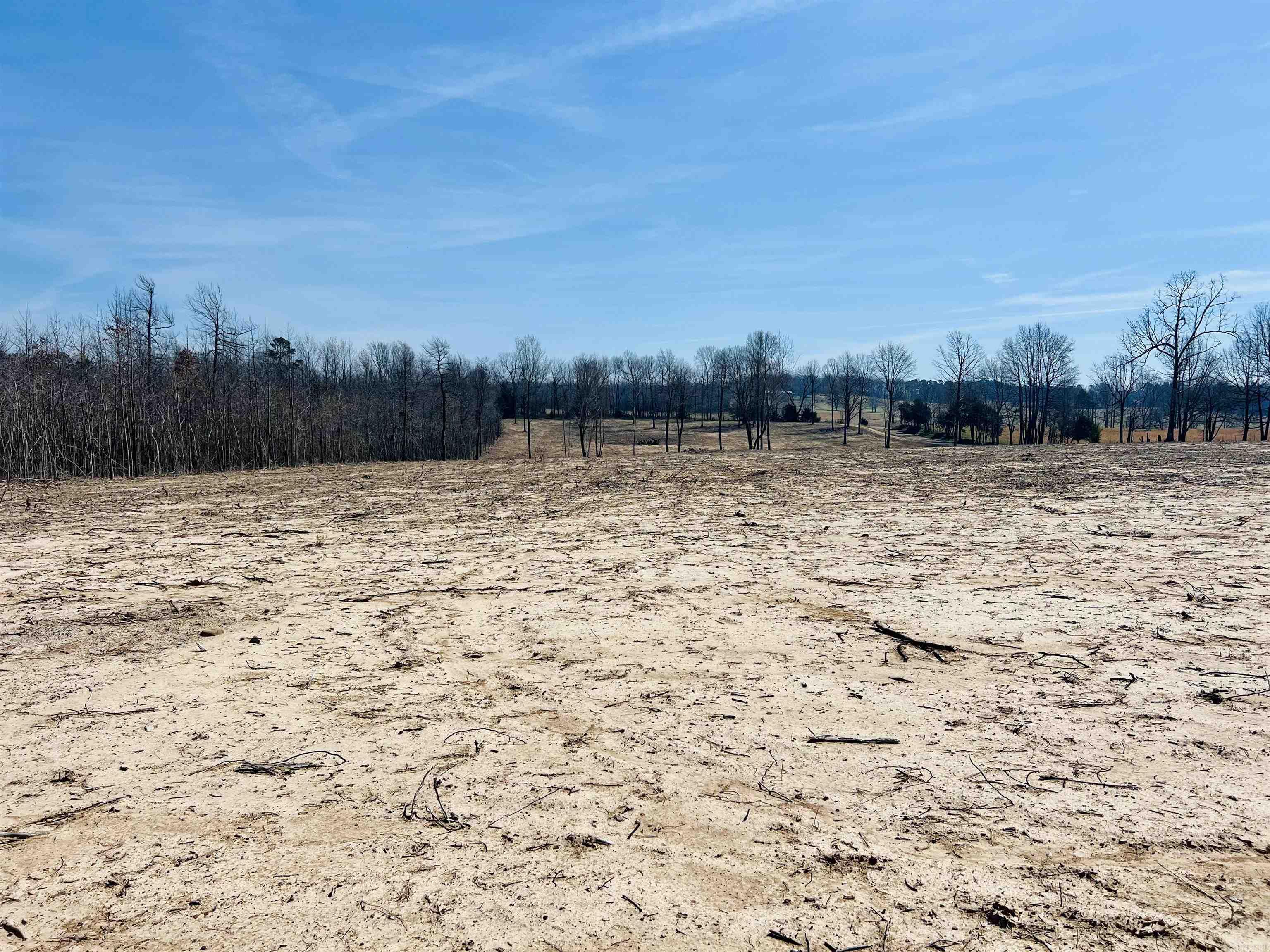  Golden Pond Lane  Witt Springs, AR