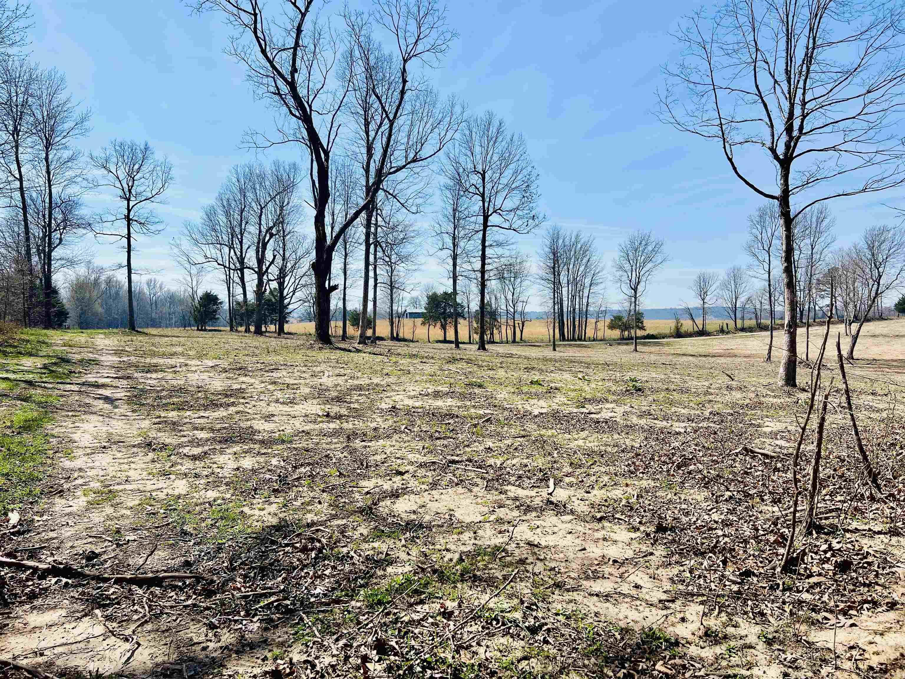  Golden Pond Lane  Witt Springs, AR