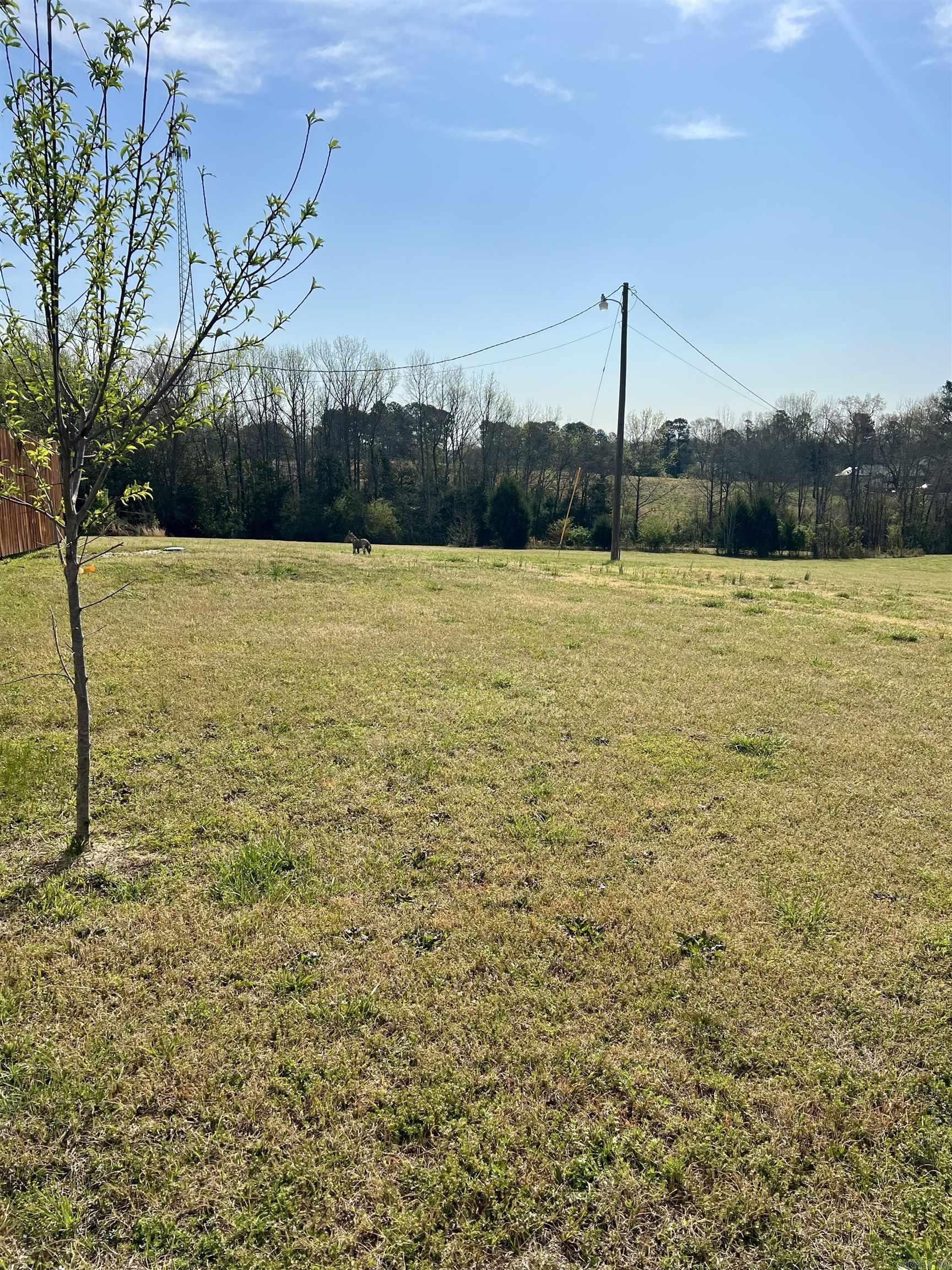 426 D Garner  Amity, AR