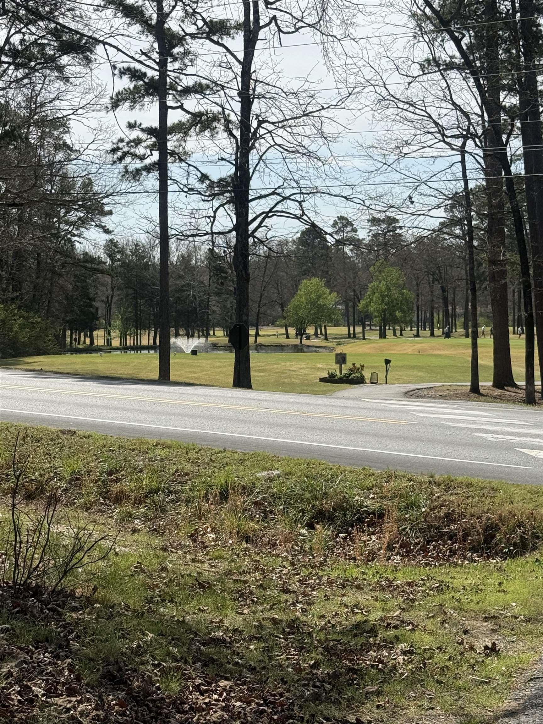 104 Ferdinand  Hot Springs Village, AR