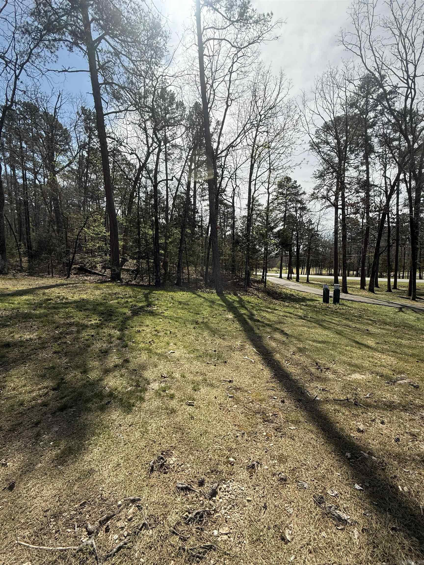 104 Ferdinand  Hot Springs Village, AR