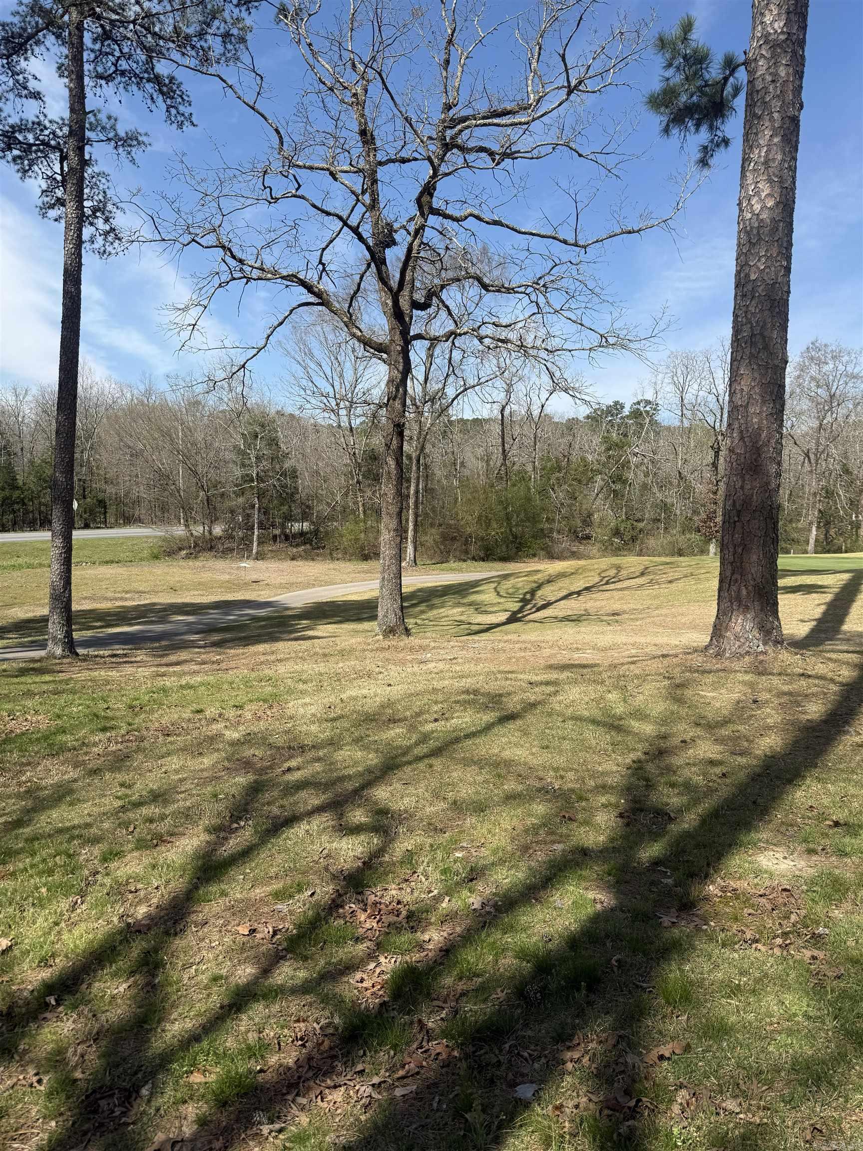 104 Ferdinand  Hot Springs Village, AR