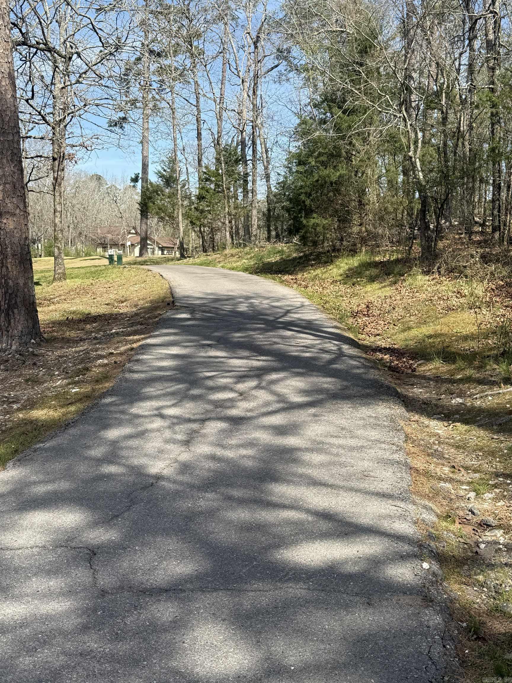 104 Ferdinand  Hot Springs Village, AR