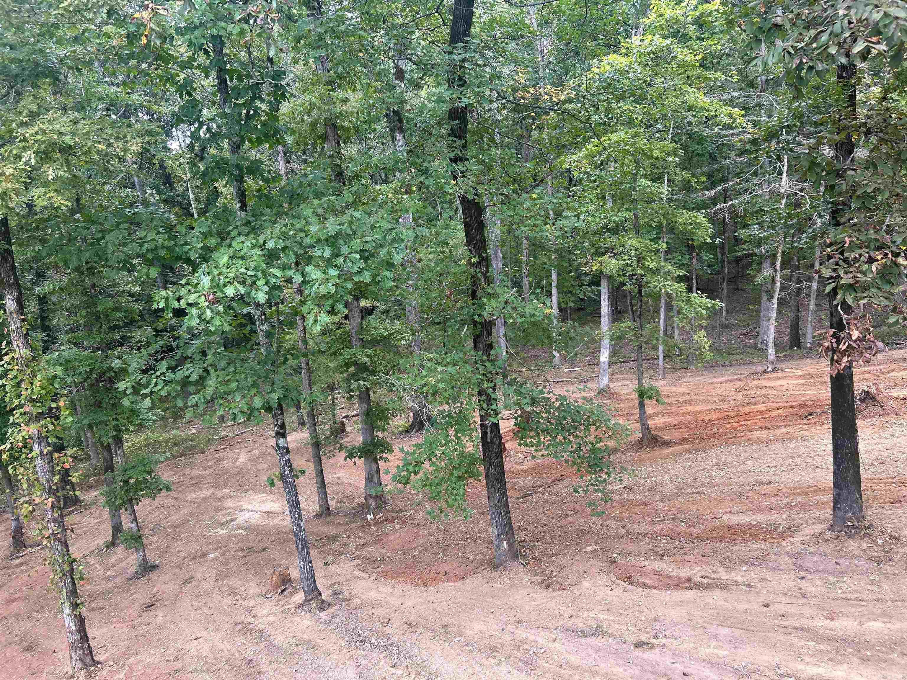 196 Stevenson  Gurdon, AR