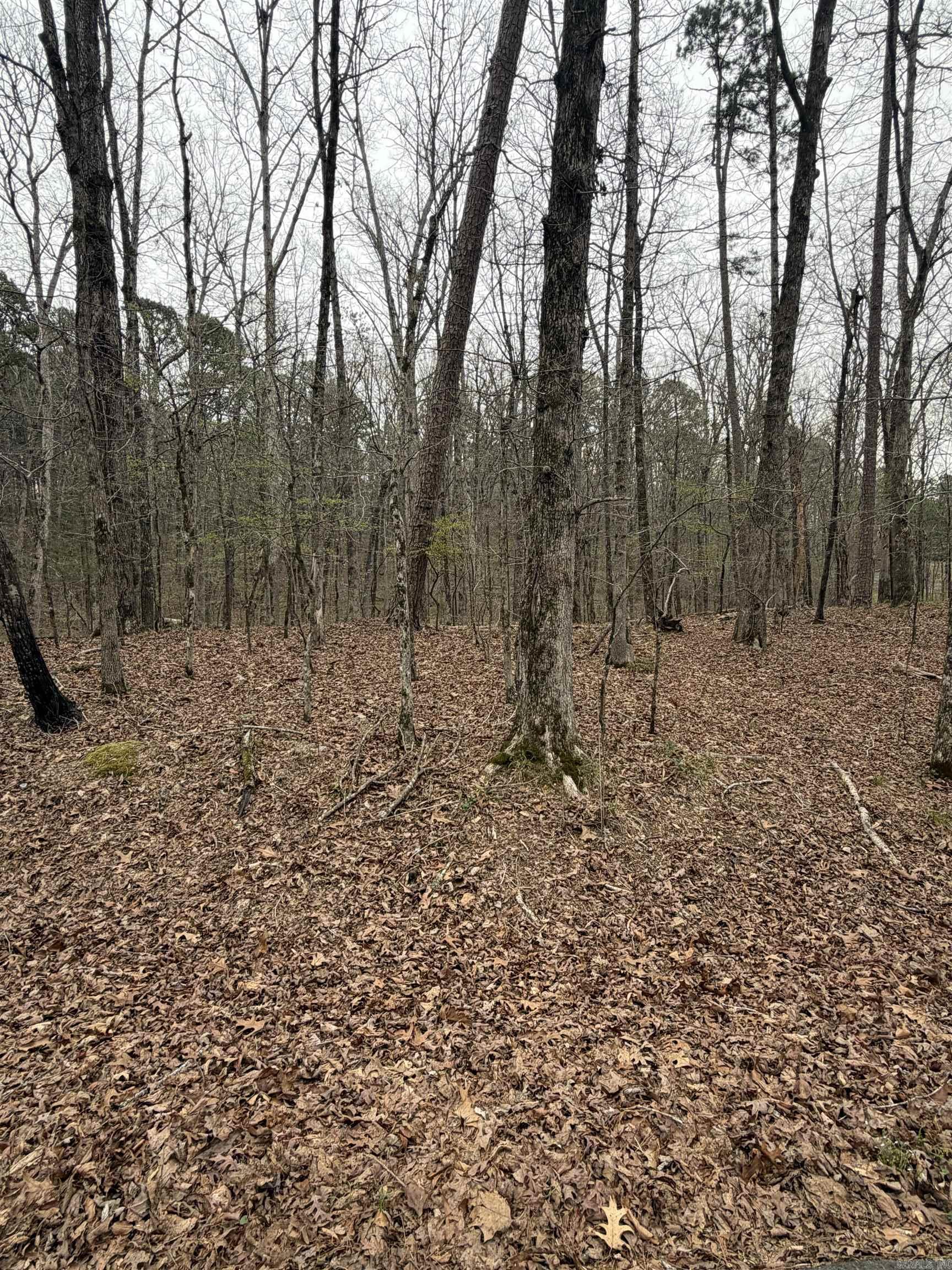 4 Sumar  Hot Springs Village, AR