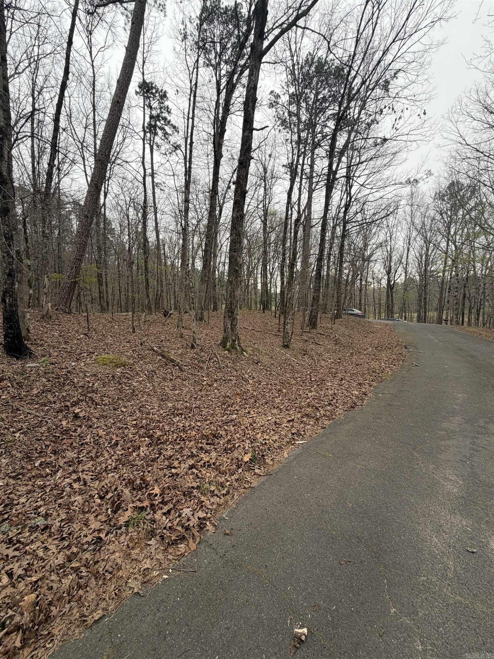 4 Sumar  Hot Springs Village, AR