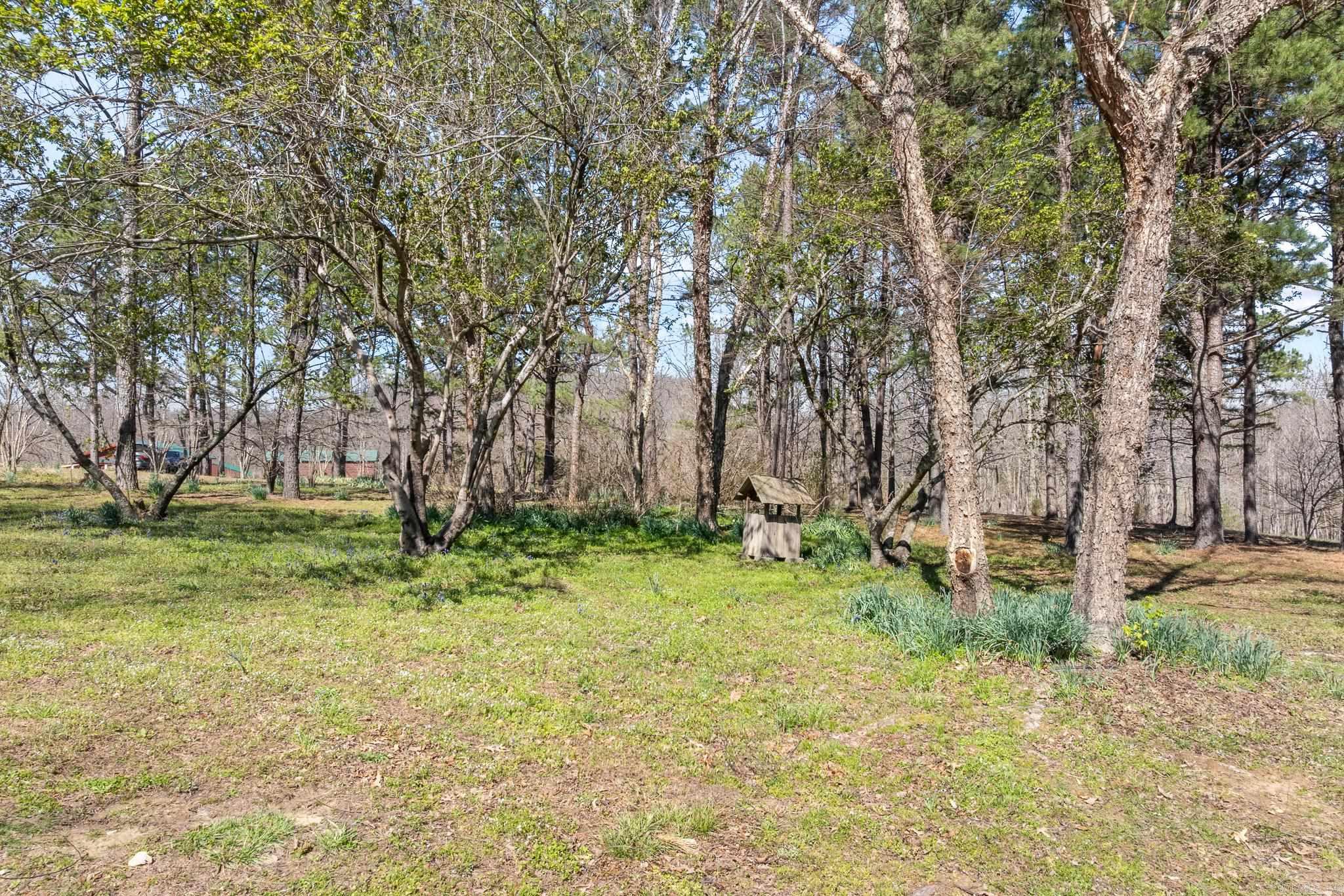 12825 Hwy 412  Alpena, AR