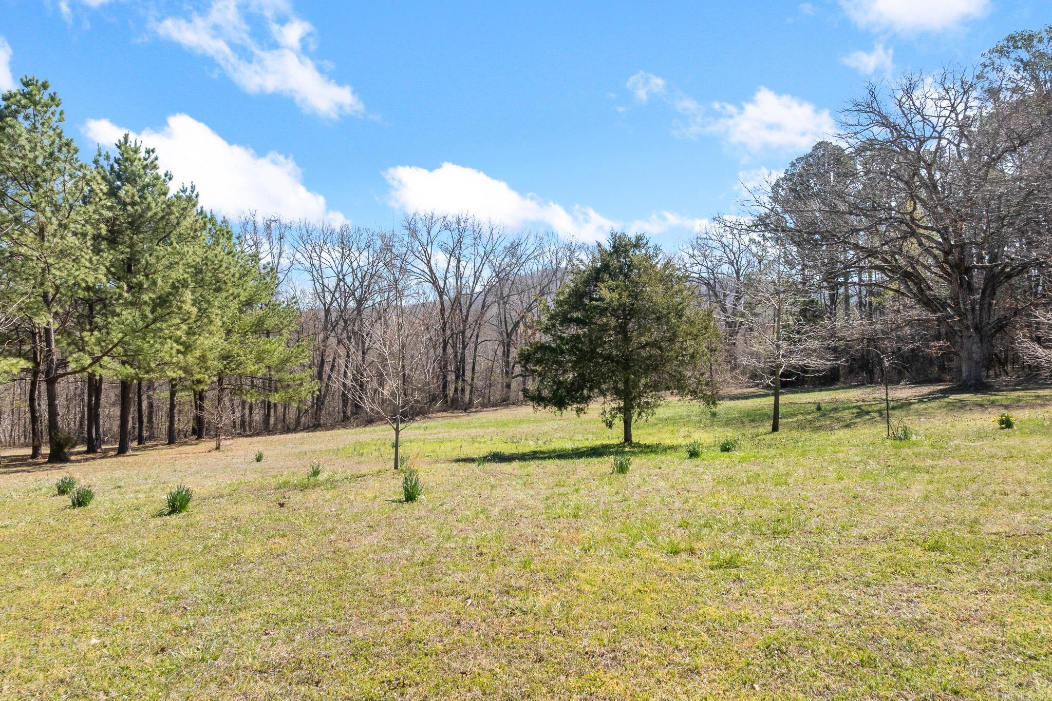 12825 Hwy 412  Alpena, AR