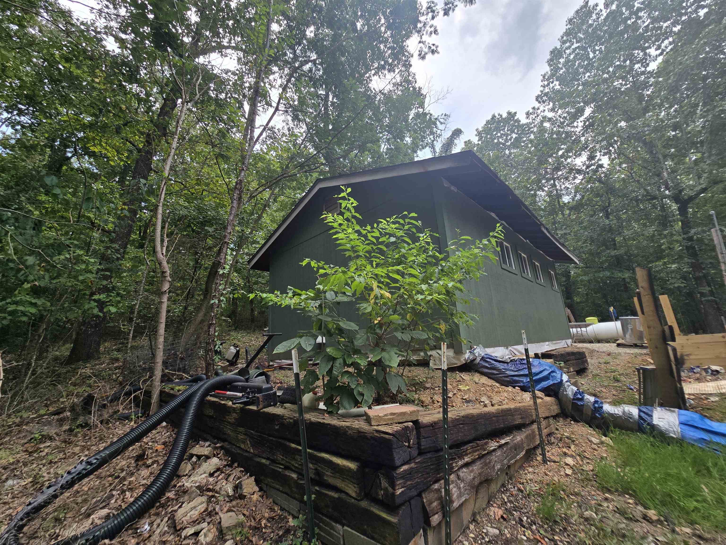 19 Willie May  Highland, AR