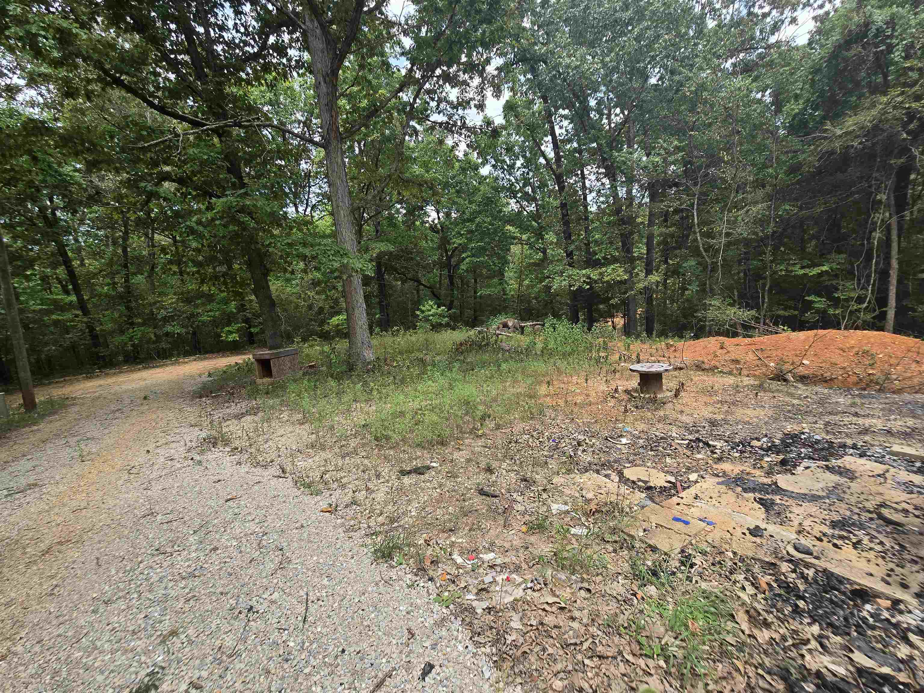 19 Willie May  Highland, AR