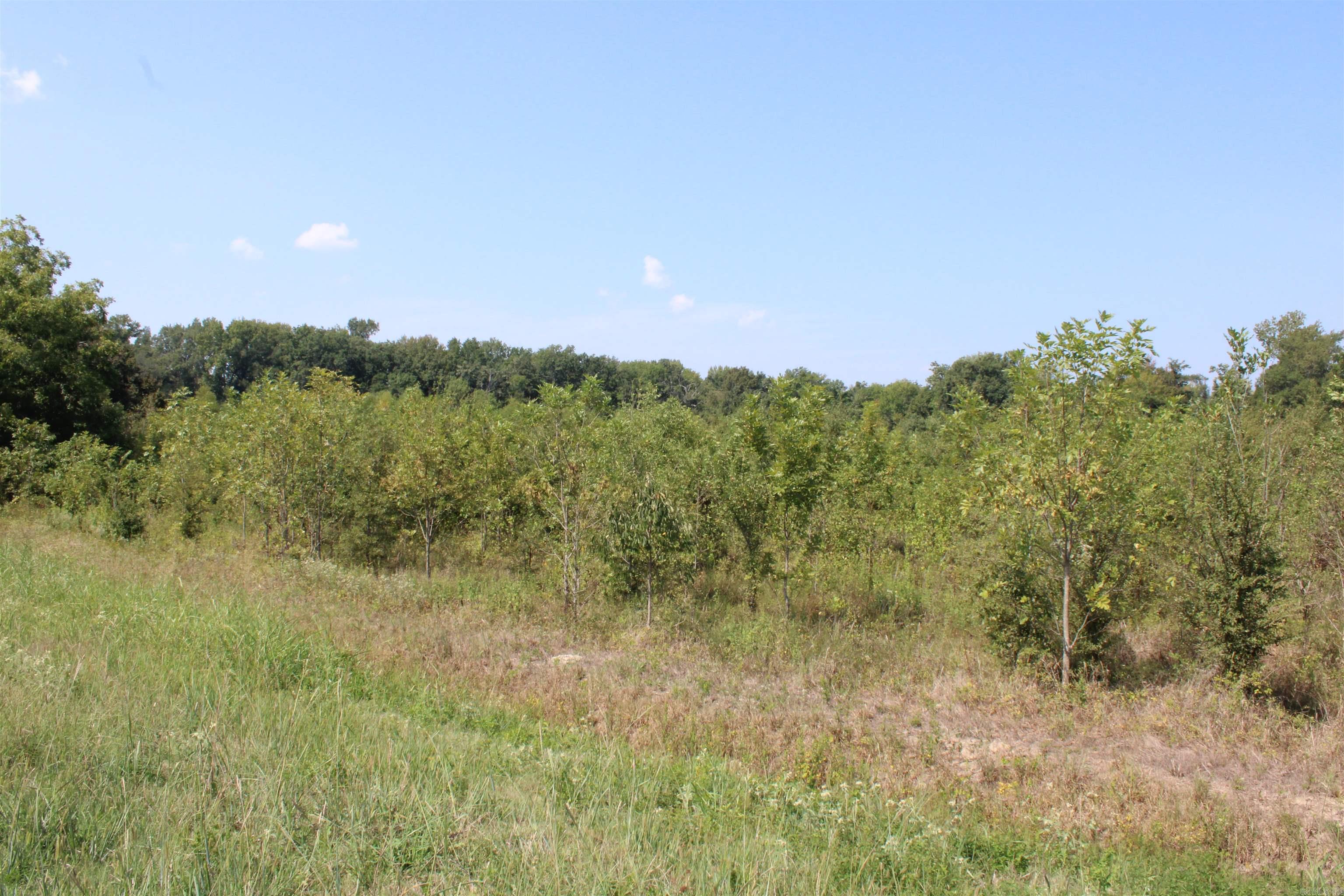 000 Hwy 1  Turner, AR