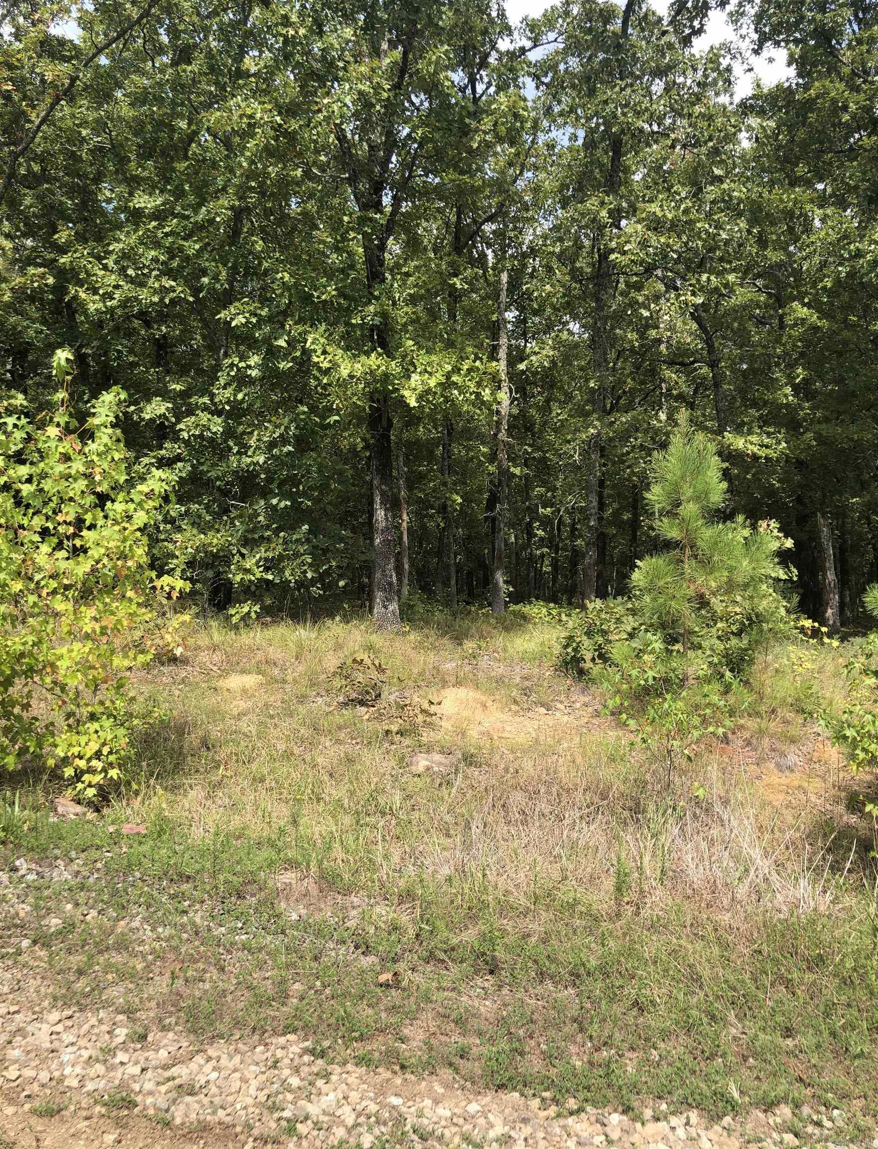 Tract 17 Golden Meadows  Vilonia, AR