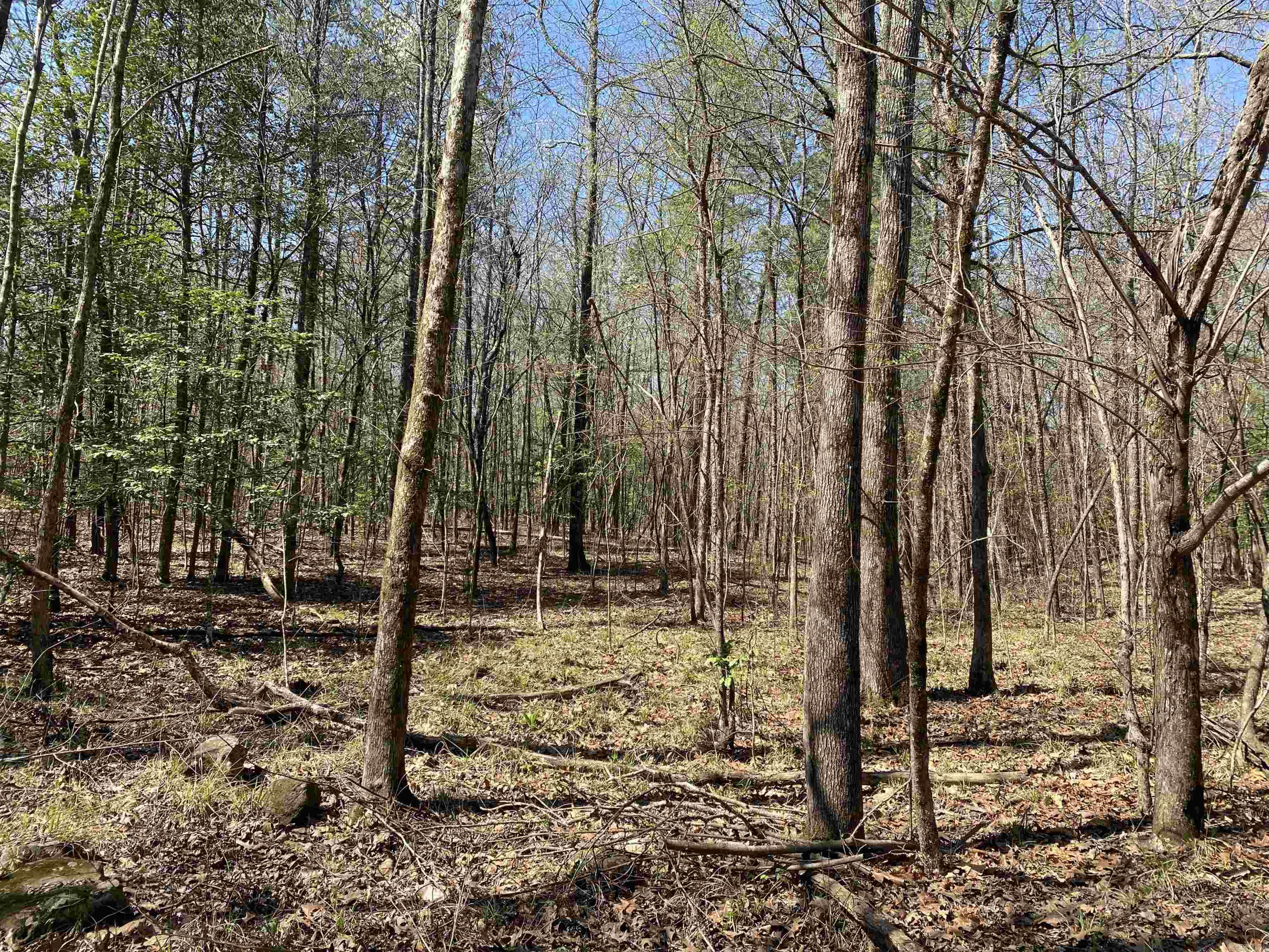 84 Creek Side  Mount Ida, AR