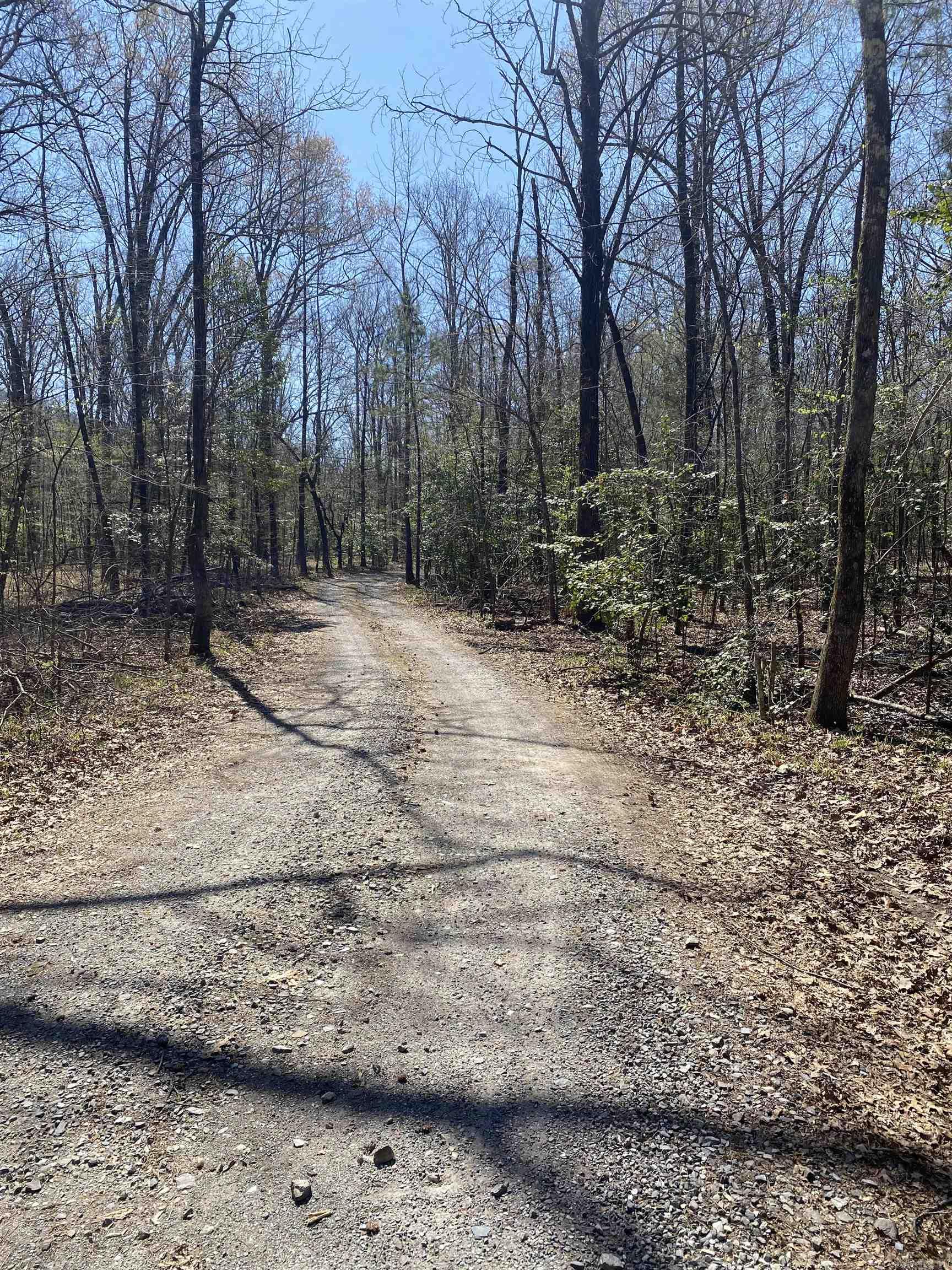 84 Creek Side  Mount Ida, AR