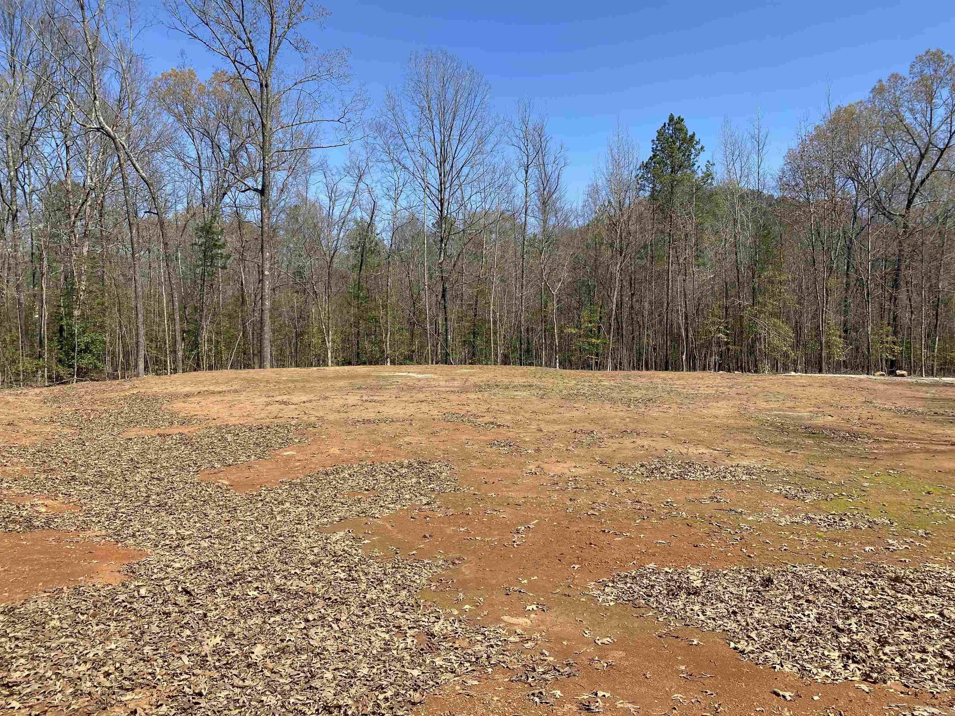 84 Creek Side  Mount Ida, AR