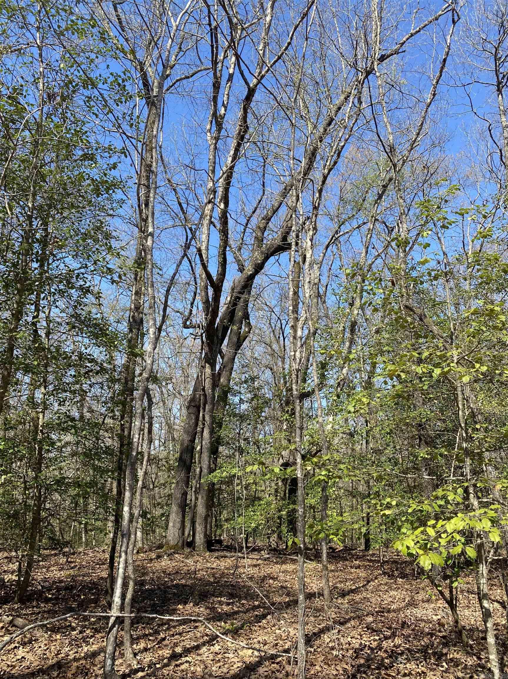 84 Creek Side  Mount Ida, AR