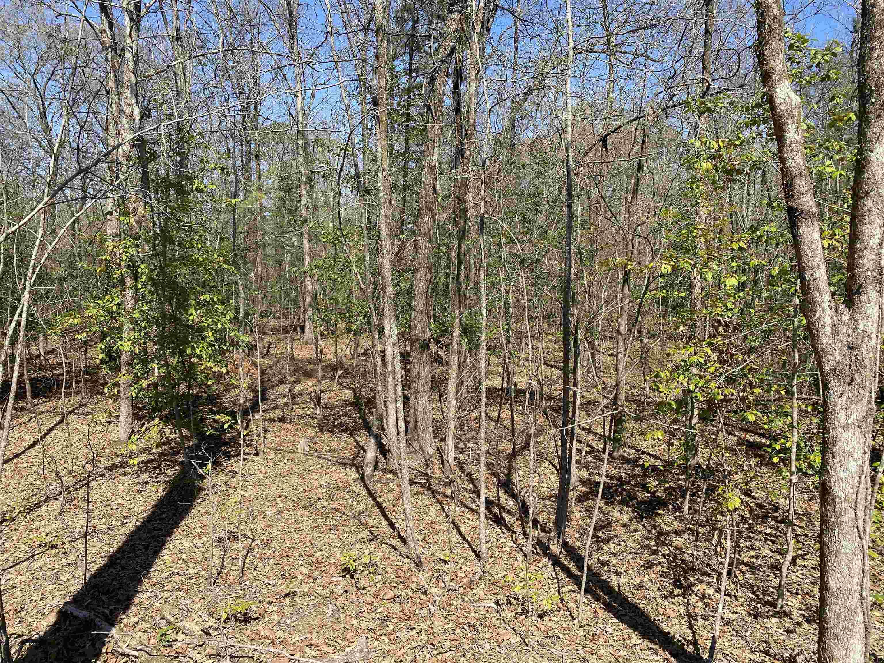 84 Creek Side  Mount Ida, AR