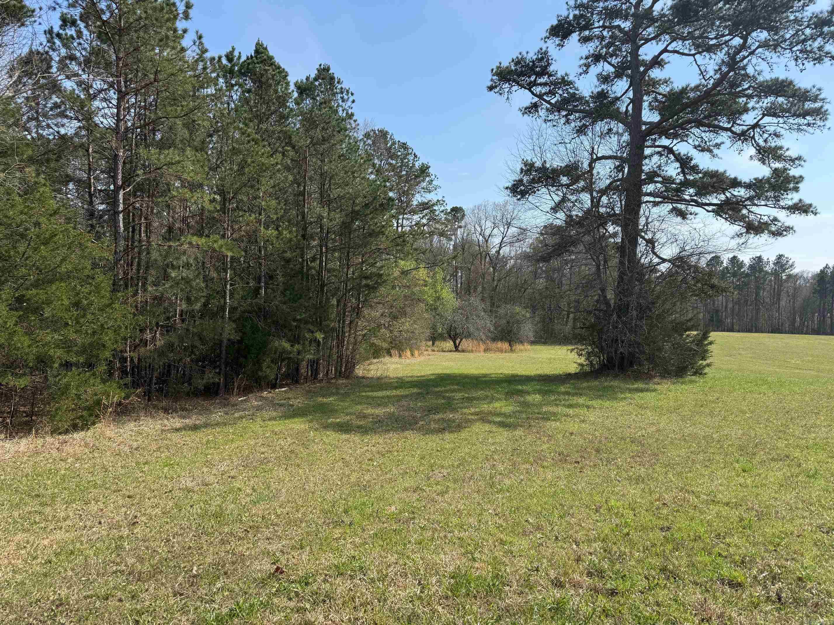 TBD Polk Road 290  Cove, AR