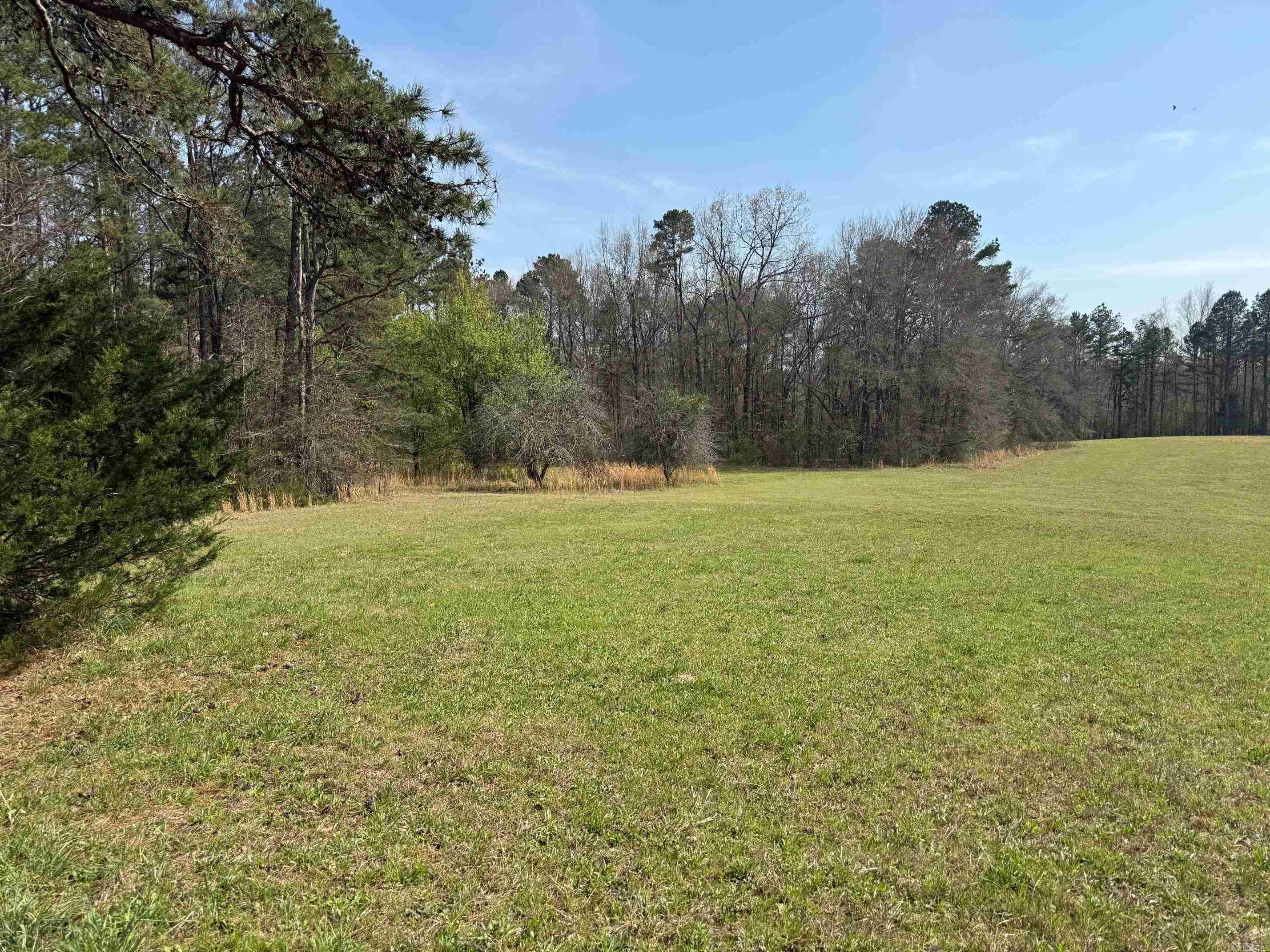 TBD Polk Road 290  Cove, AR