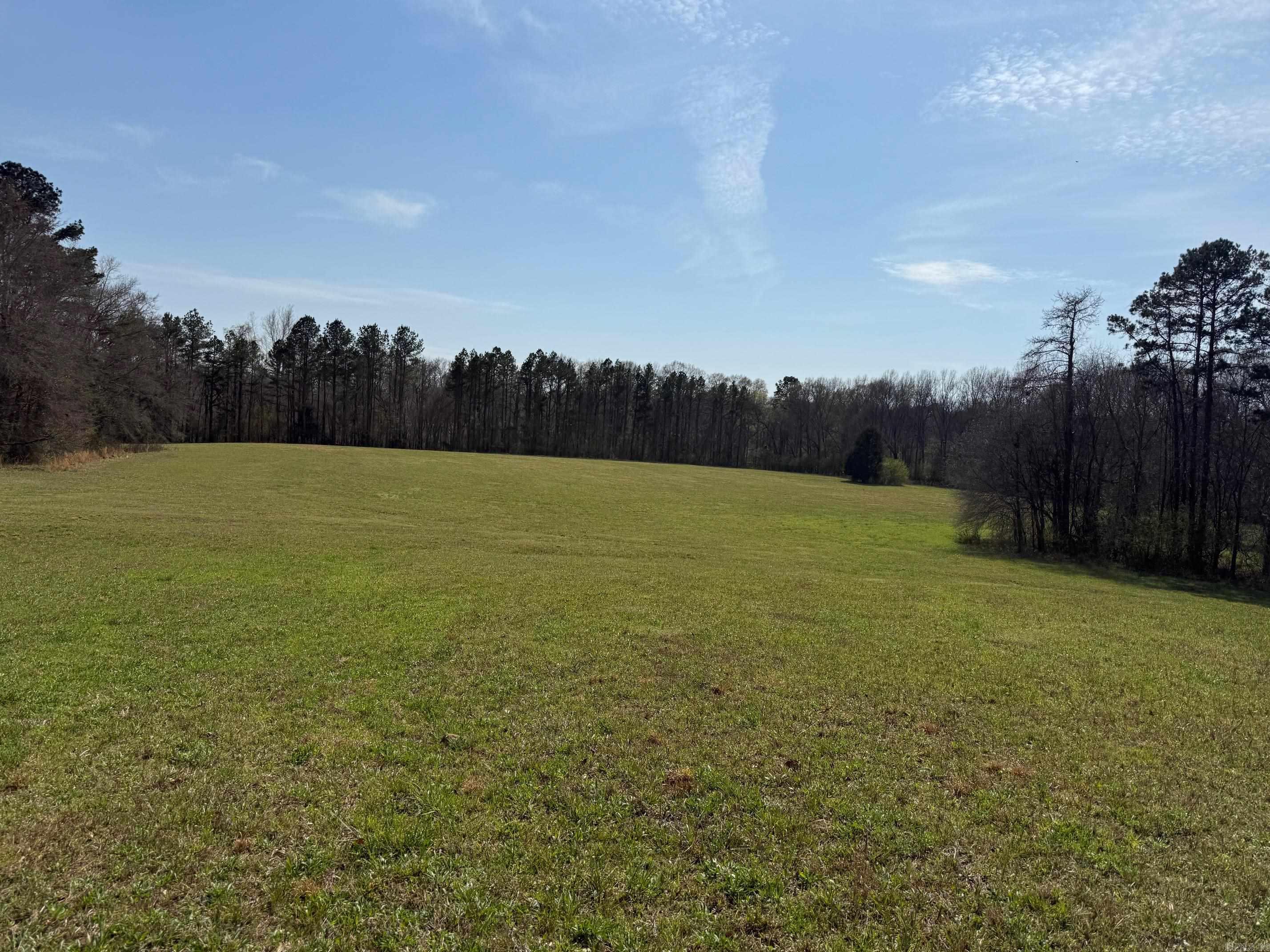 TBD Polk Road 290  Cove, AR