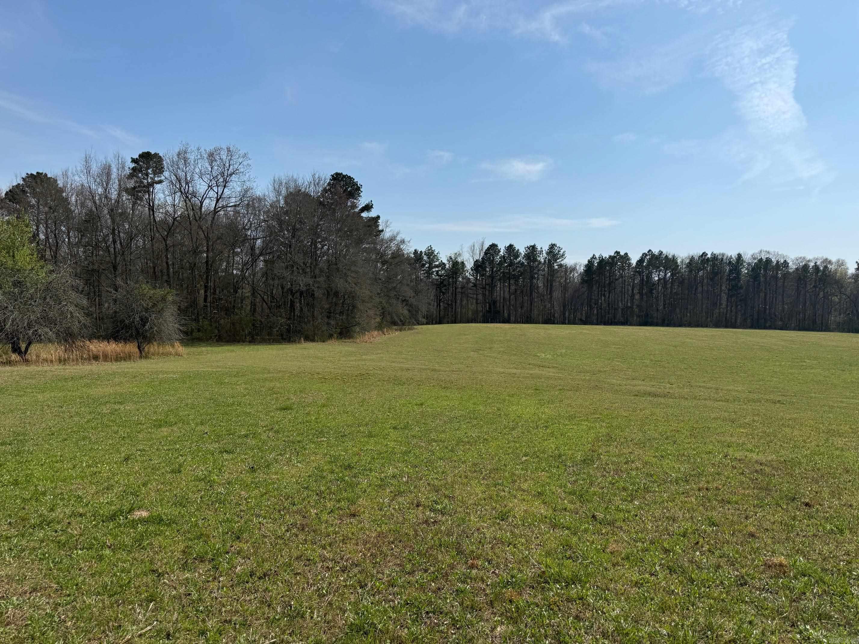 TBD Polk Road 290  Cove, AR