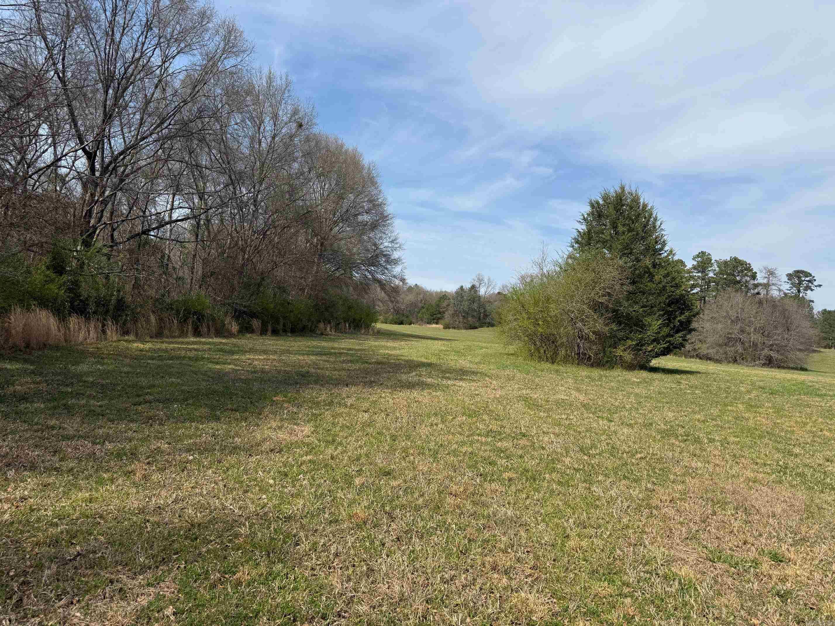 TBD Polk Road 290  Cove, AR