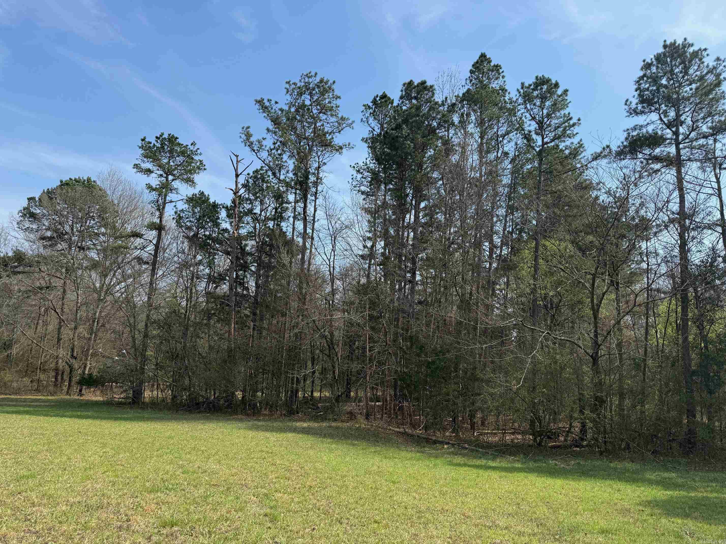 TBD Polk Road 290  Cove, AR