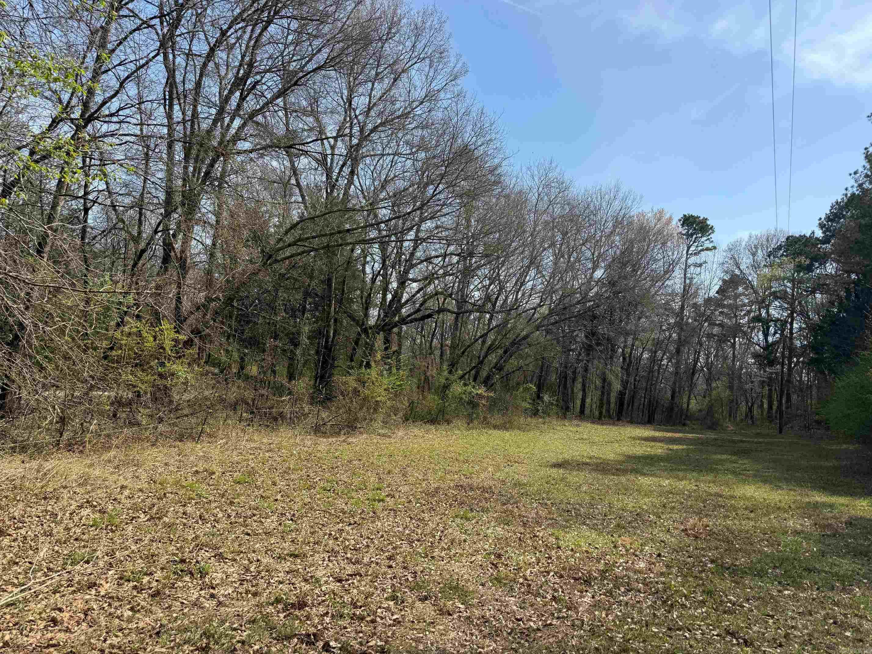 TBD Polk Road 290  Cove, AR