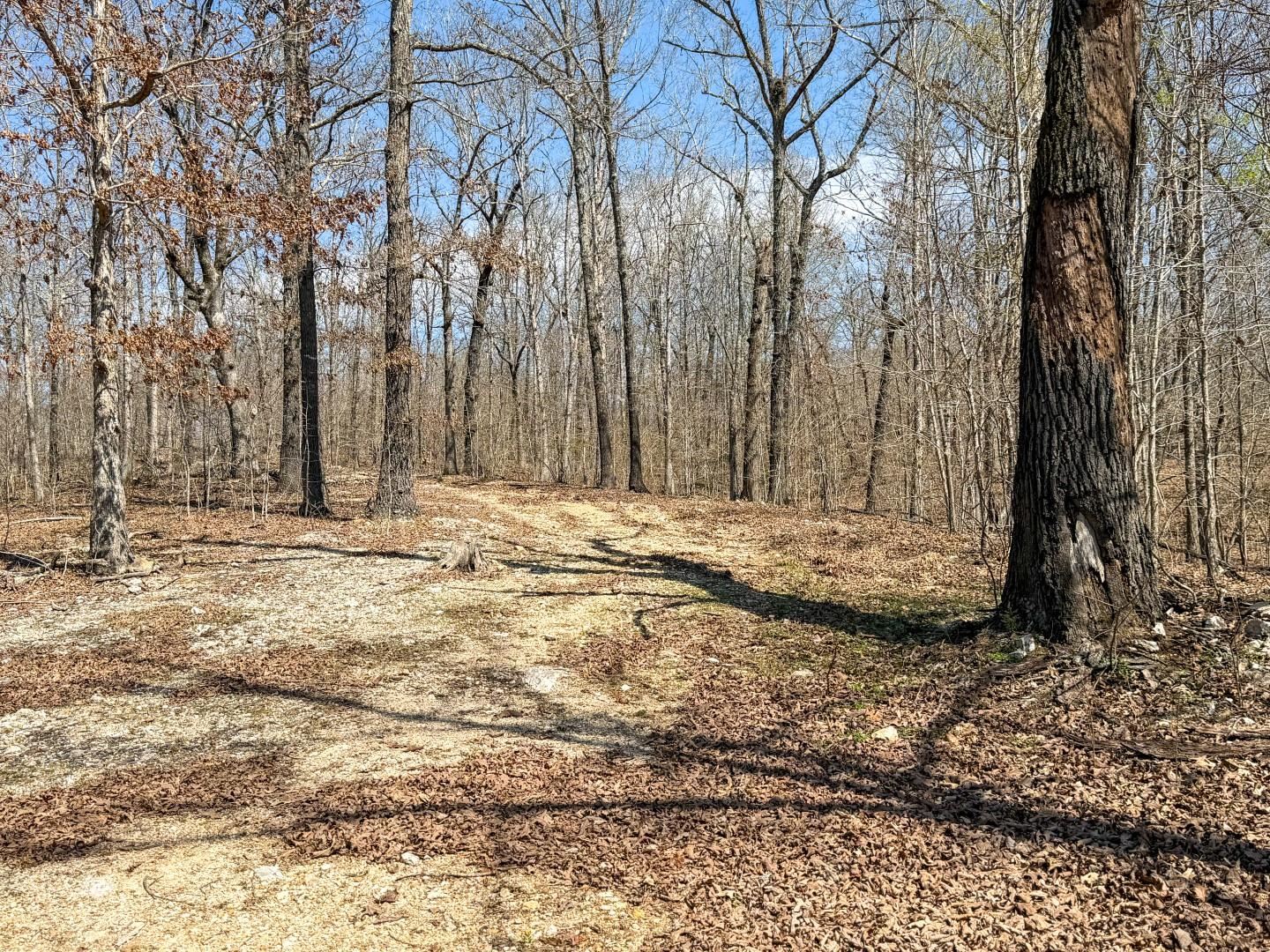 7946 Heart  Mammoth Spring, AR