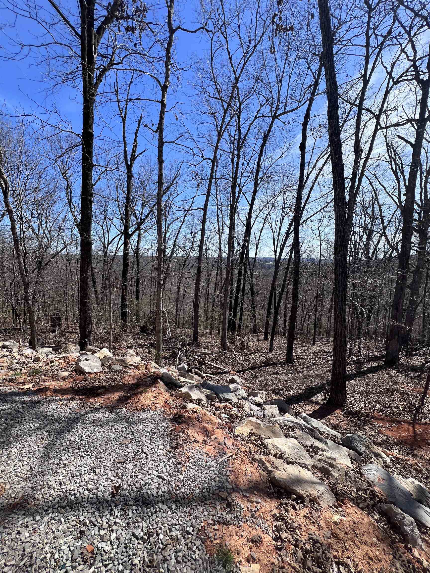 104 Chism  Hardy, AR