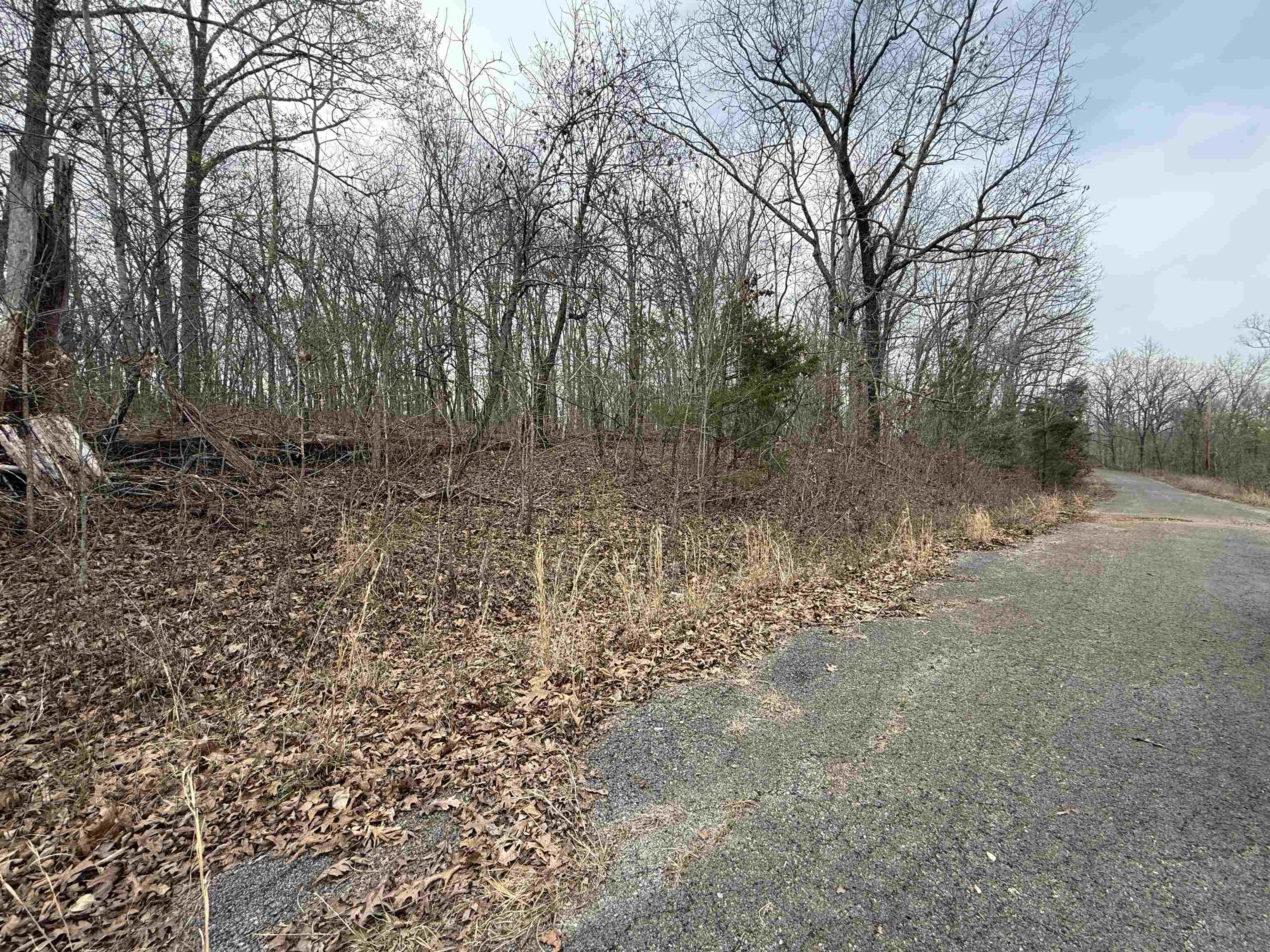 TBD Will Scarlet  Hardy, AR