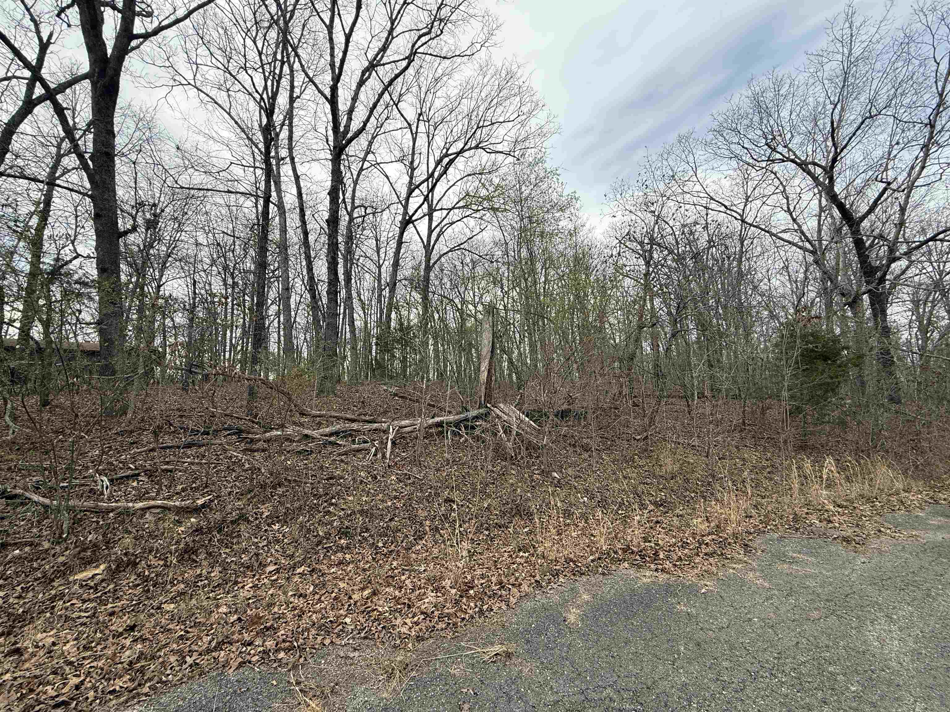 TBD Will Scarlet  Hardy, AR