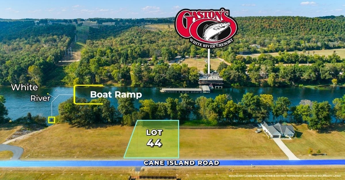 #44 Cane Island  Flippin, AR