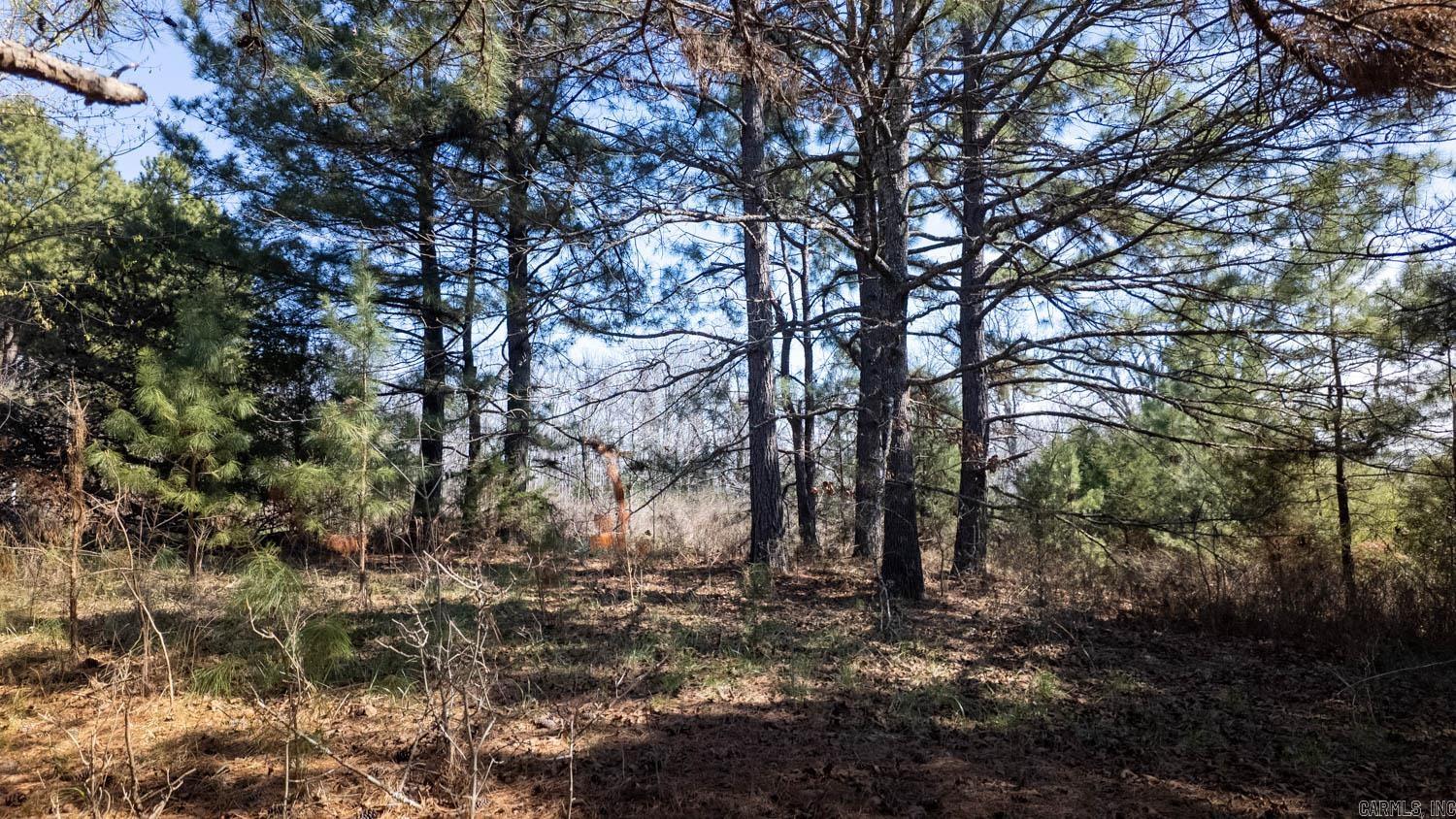 000 Shands Road  Evening Shade, AR