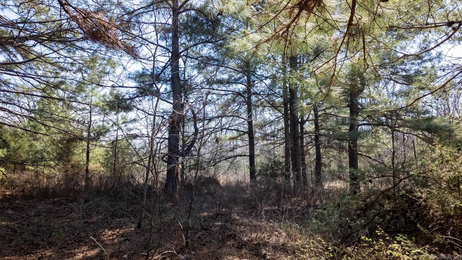 000 Shands Road  Evening Shade, AR