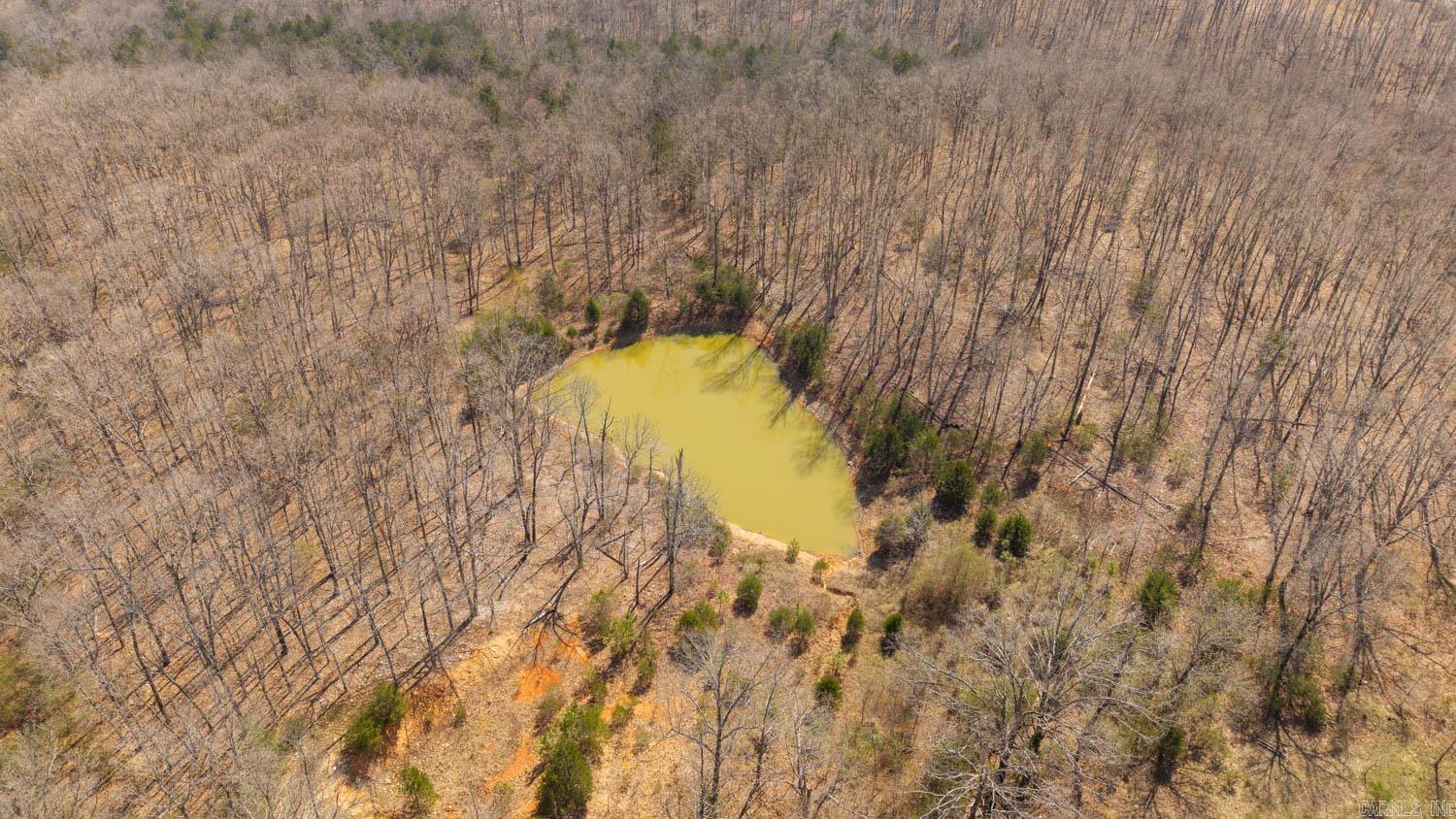 000 Shands Road  Evening Shade, AR