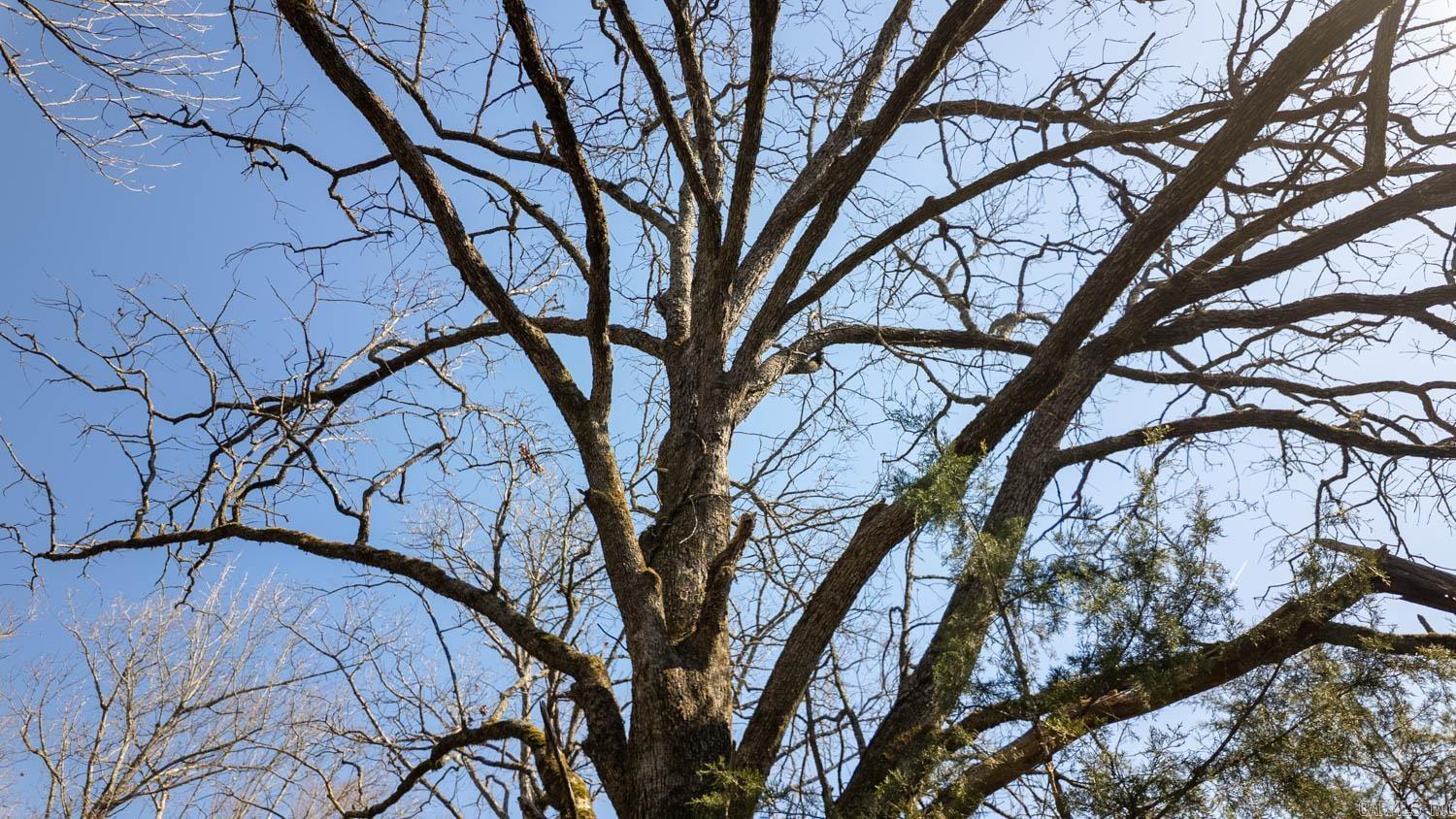 000 Shands Road  Evening Shade, AR