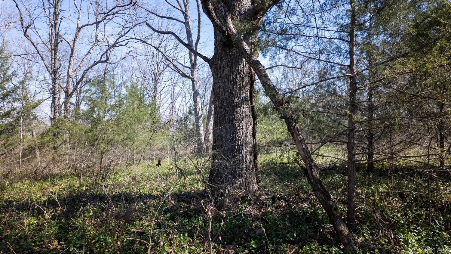 000 Shands Road  Evening Shade, AR