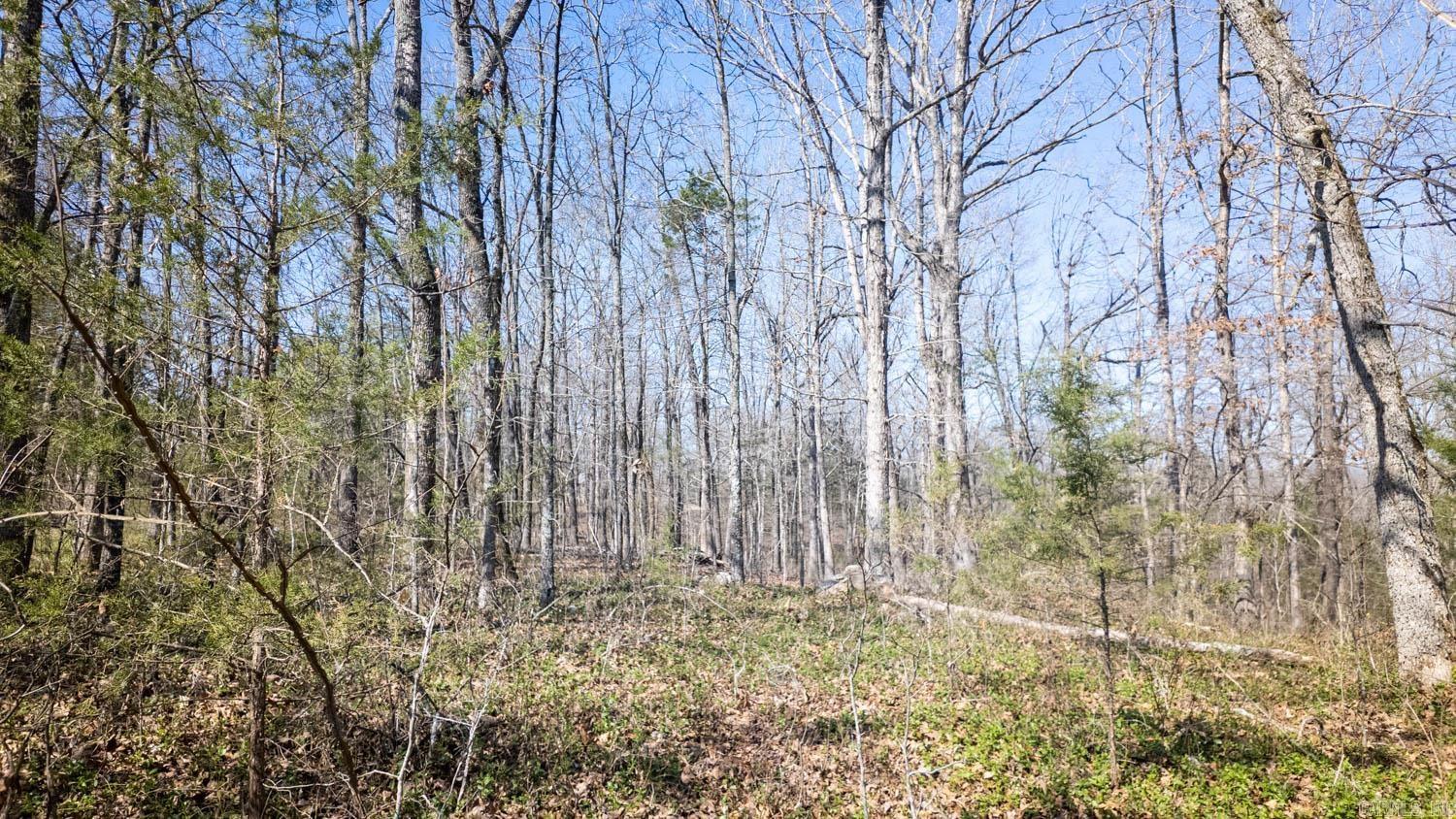 000 Shands Road  Evening Shade, AR