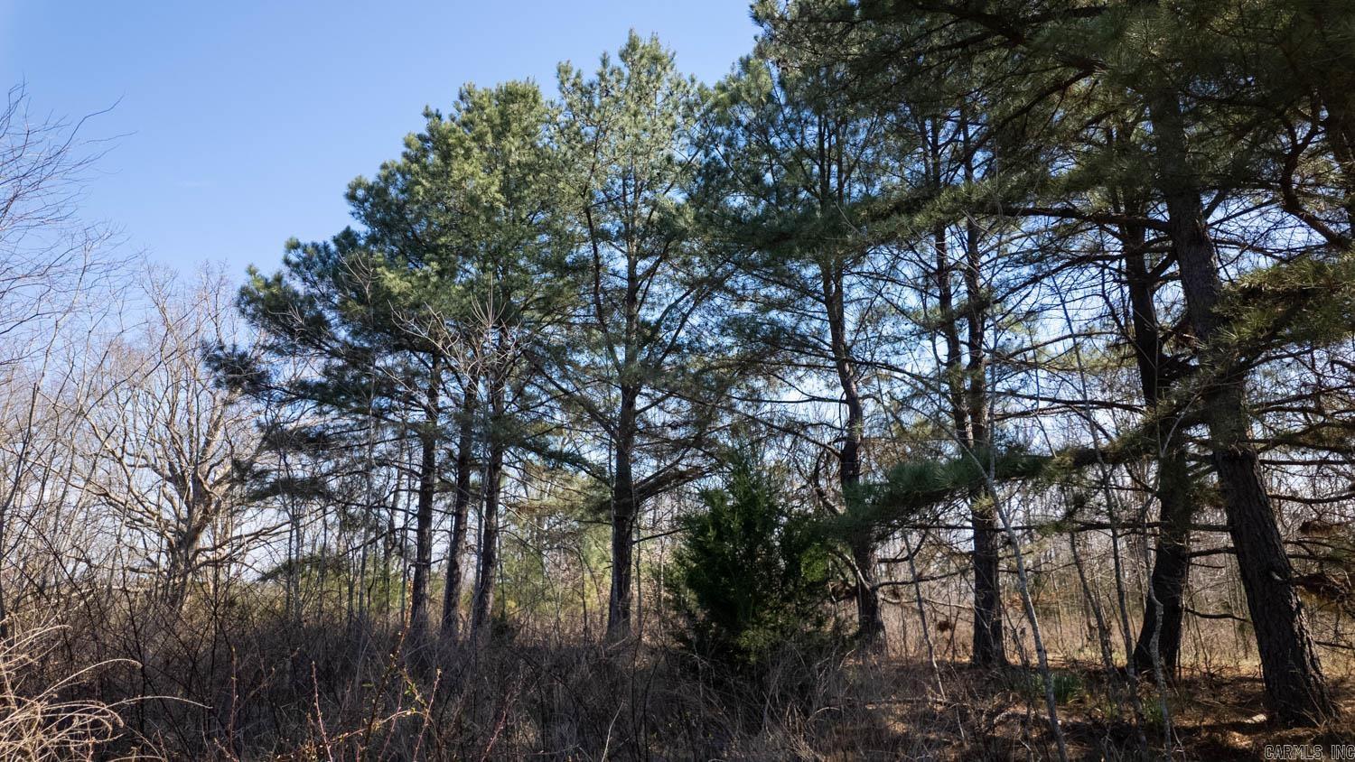 000 Shands Road  Evening Shade, AR