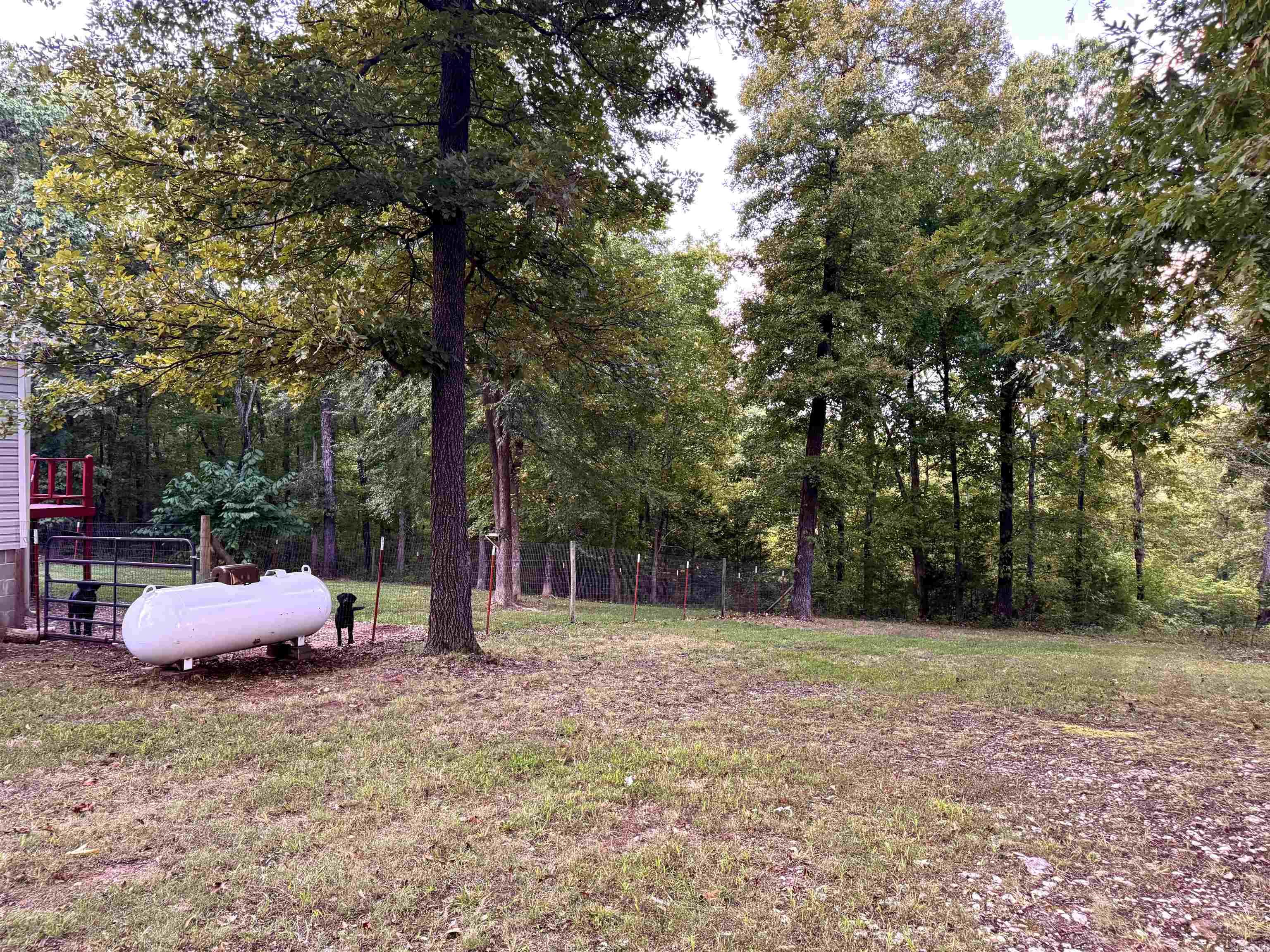 1227 W 74  Marshall, AR