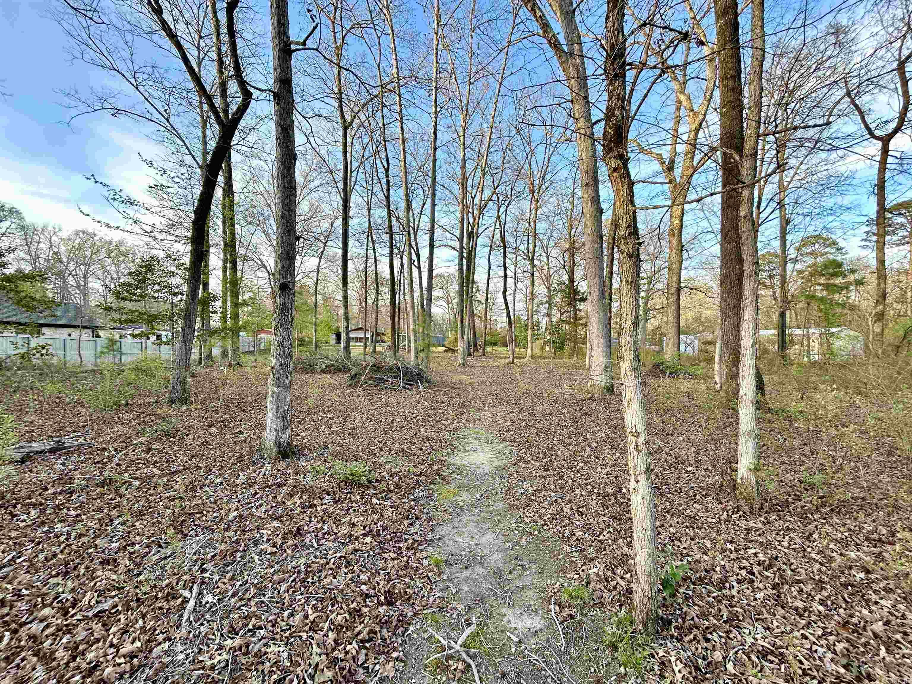 8203 OLIVE HILL  Mabelvale, AR