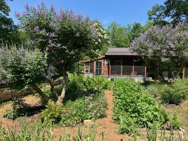 8203 OLIVE HILL  Mabelvale, AR