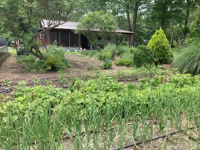 8203 OLIVE HILL  Mabelvale, AR