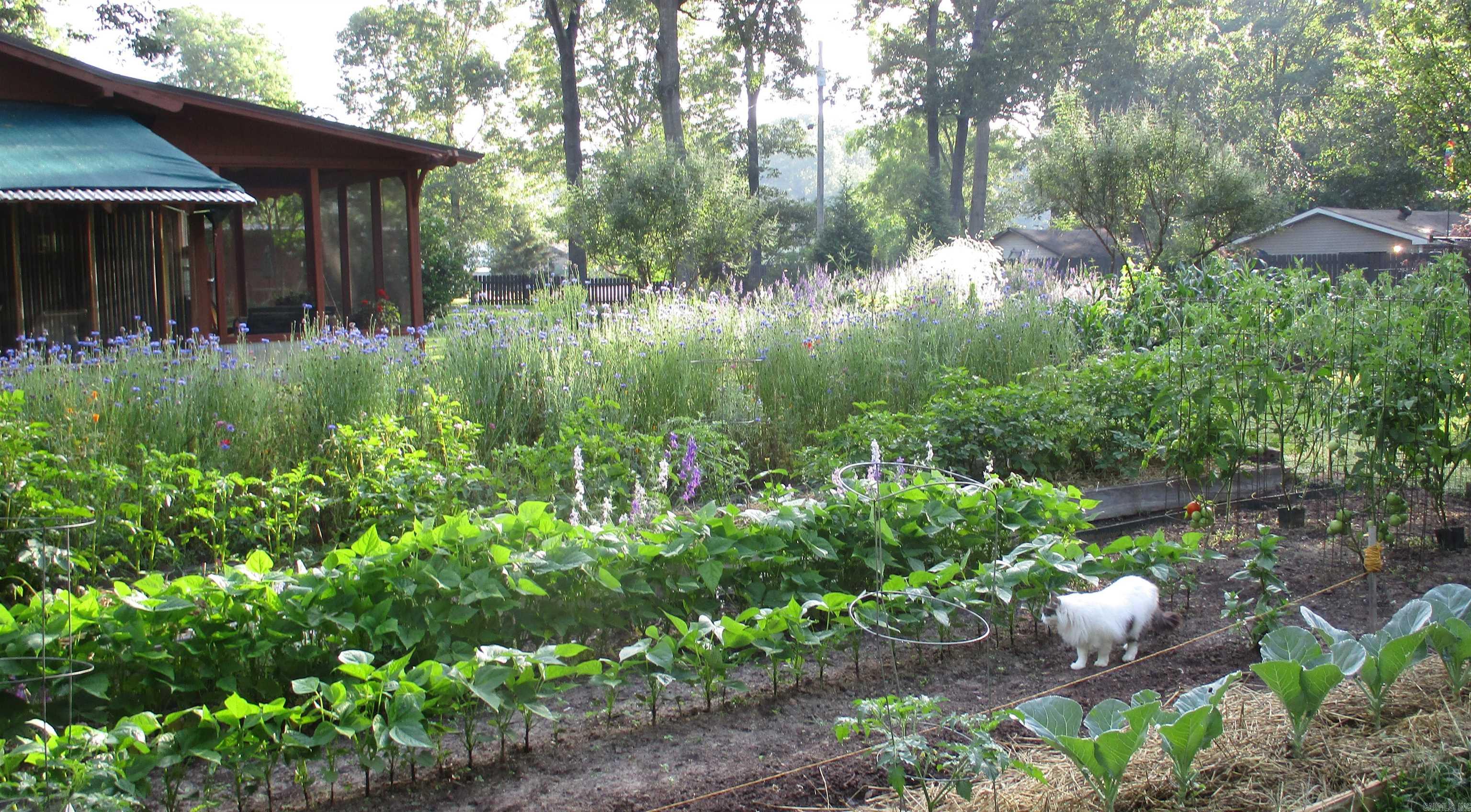 8203 OLIVE HILL  Mabelvale, AR