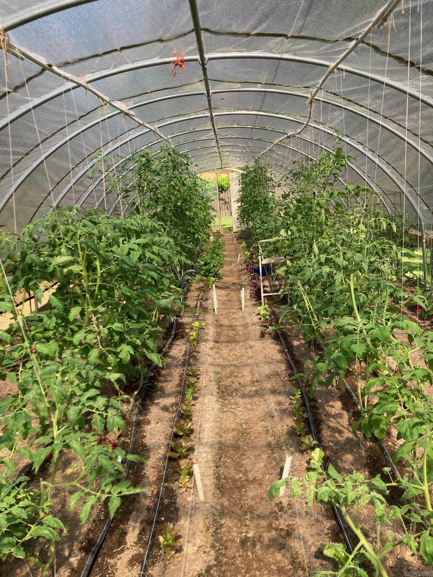 8203 OLIVE HILL  Mabelvale, AR