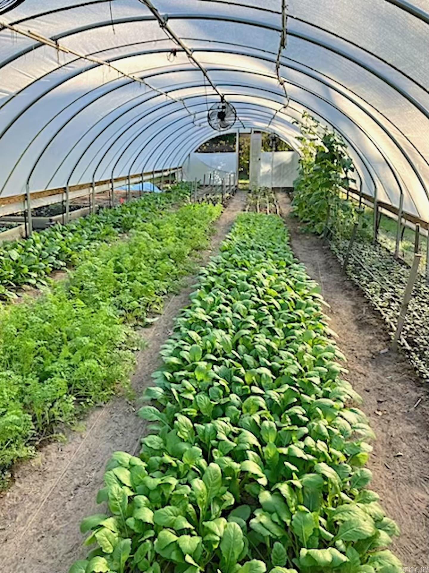 8203 OLIVE HILL  Mabelvale, AR